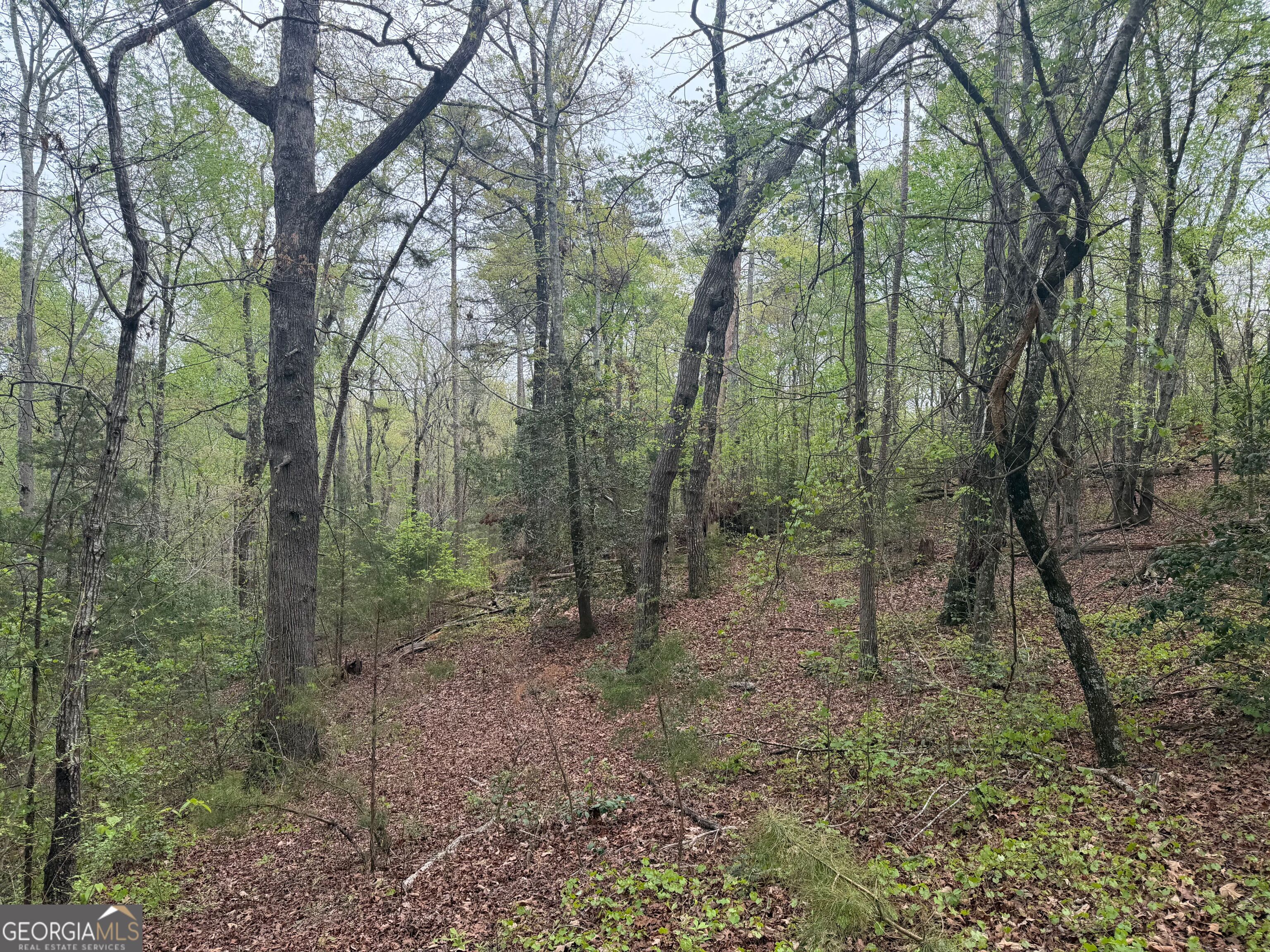 0 N County Line Road