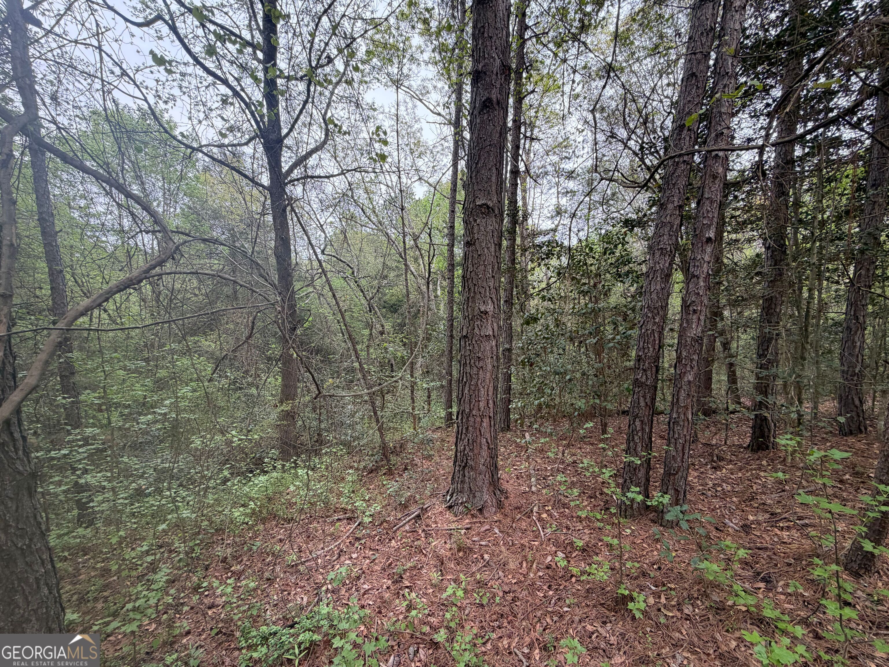 0 N County Line Road