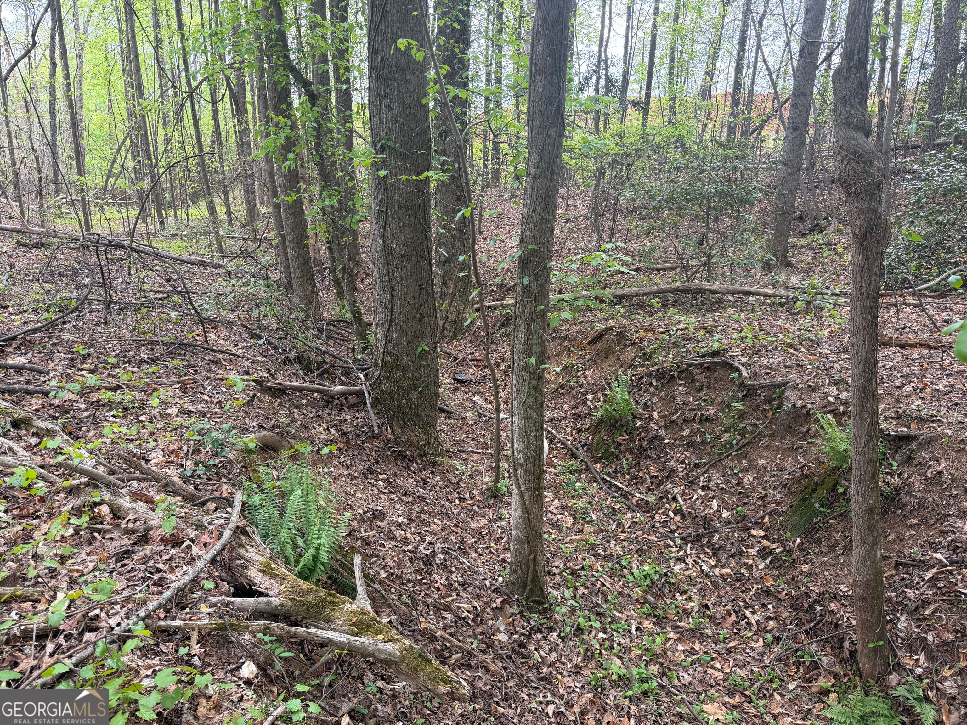 0 N County Line Road
