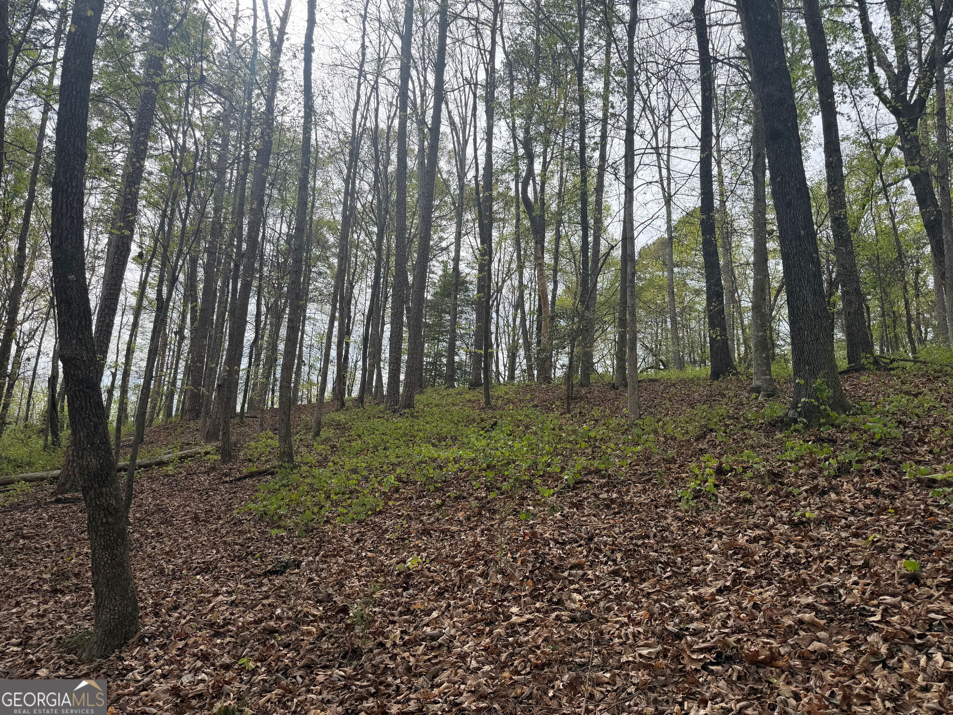 0 N County Line Road
