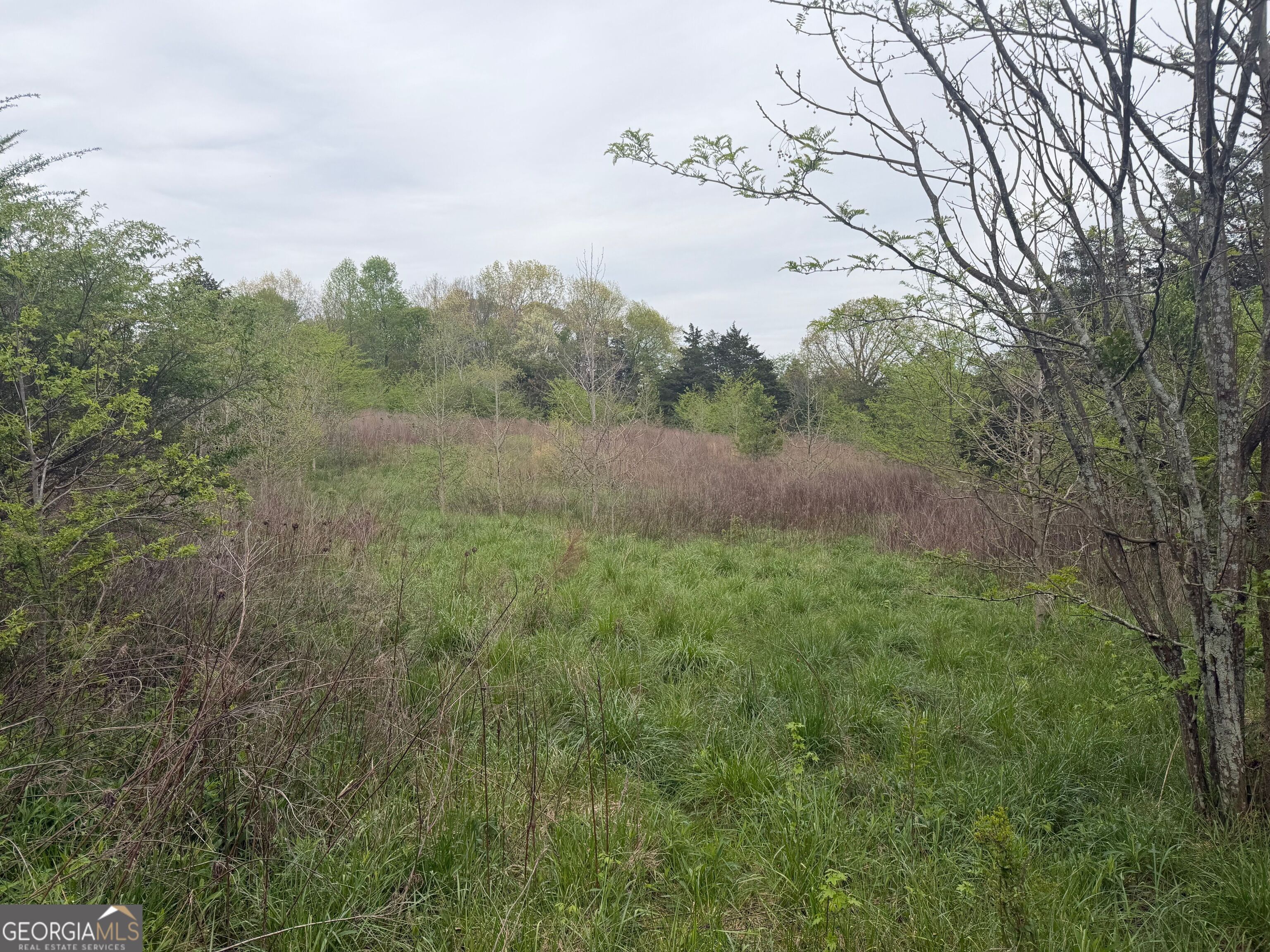 0 N County Line Road