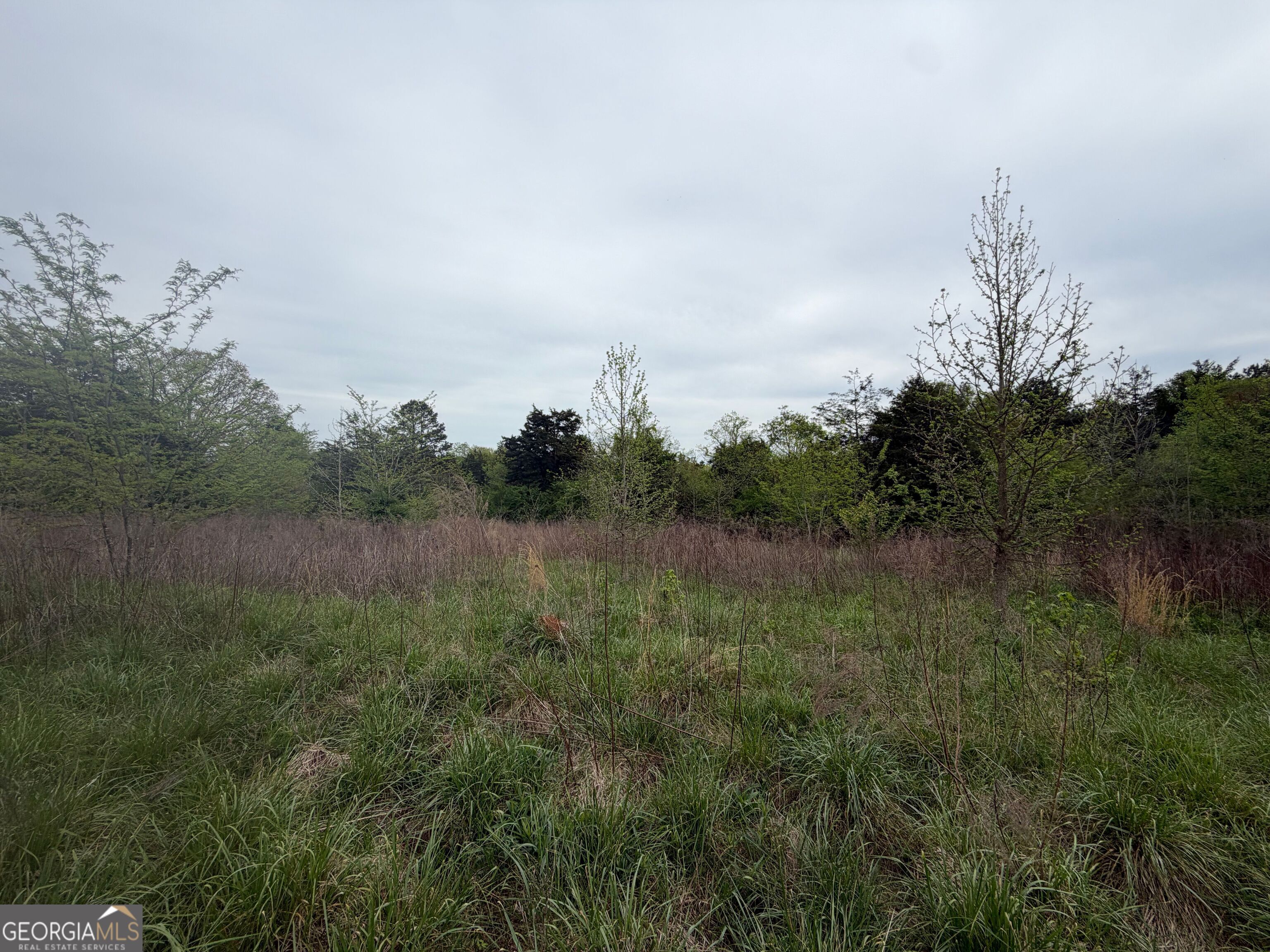 0 N County Line Road