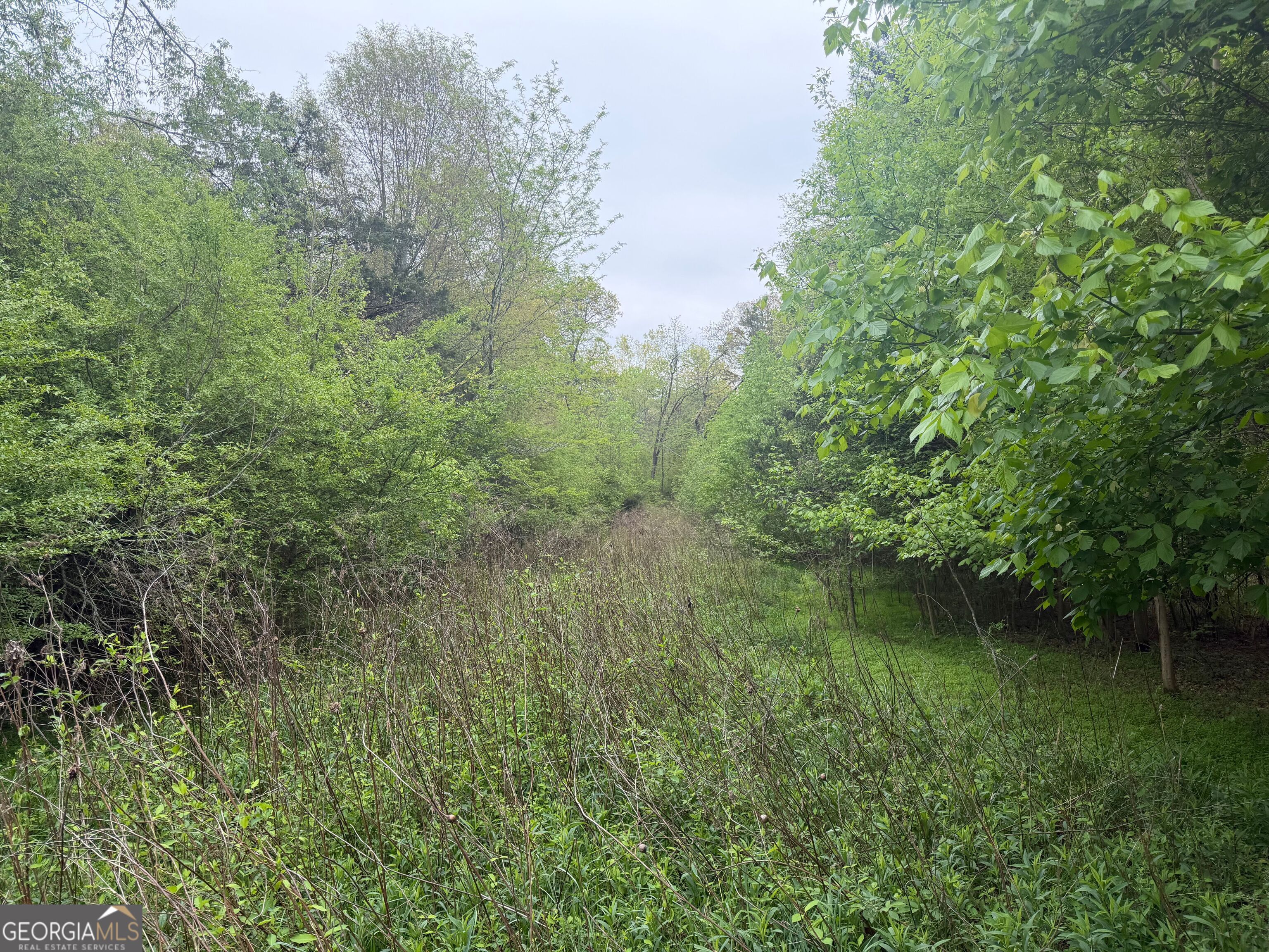 0 N County Line Road