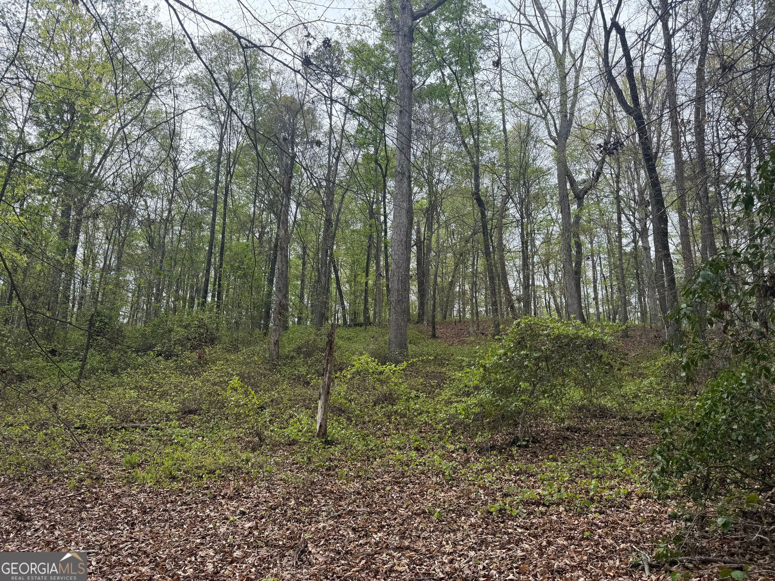 0 N County Line Road