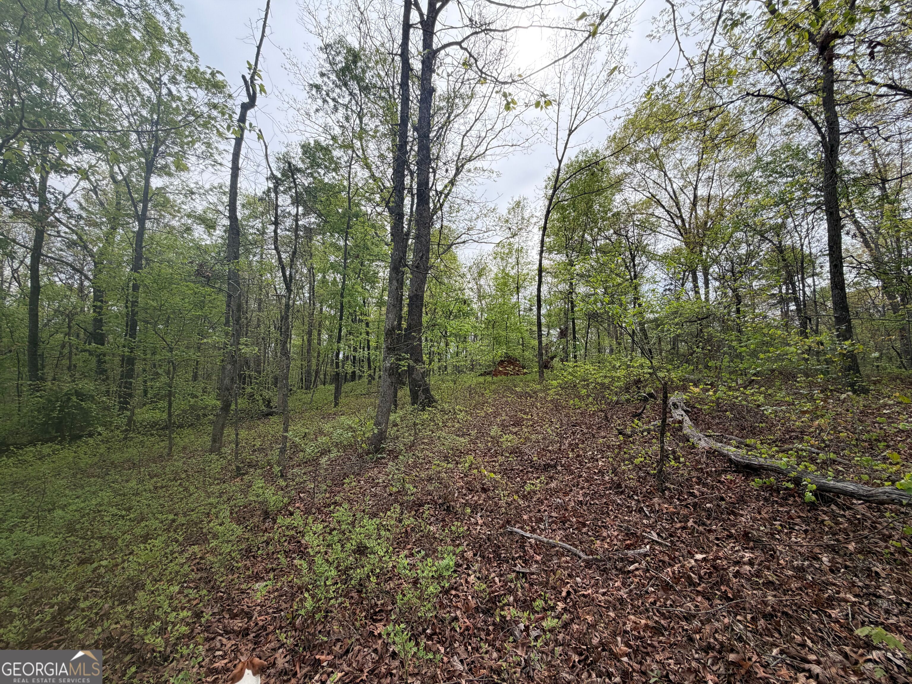 0 N County Line Road