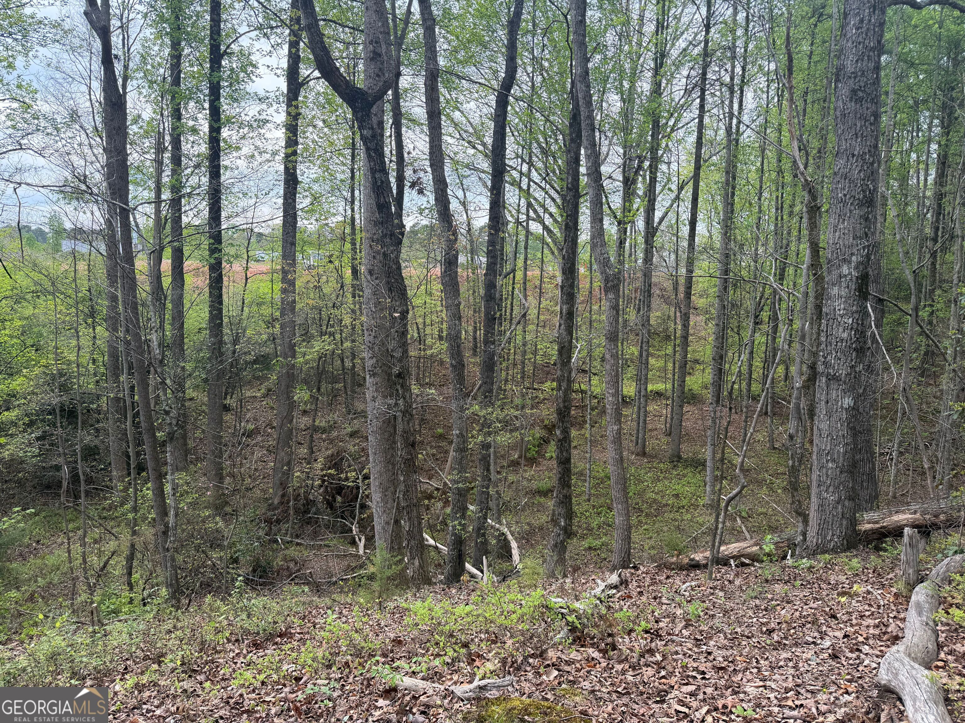 0 N County Line Road