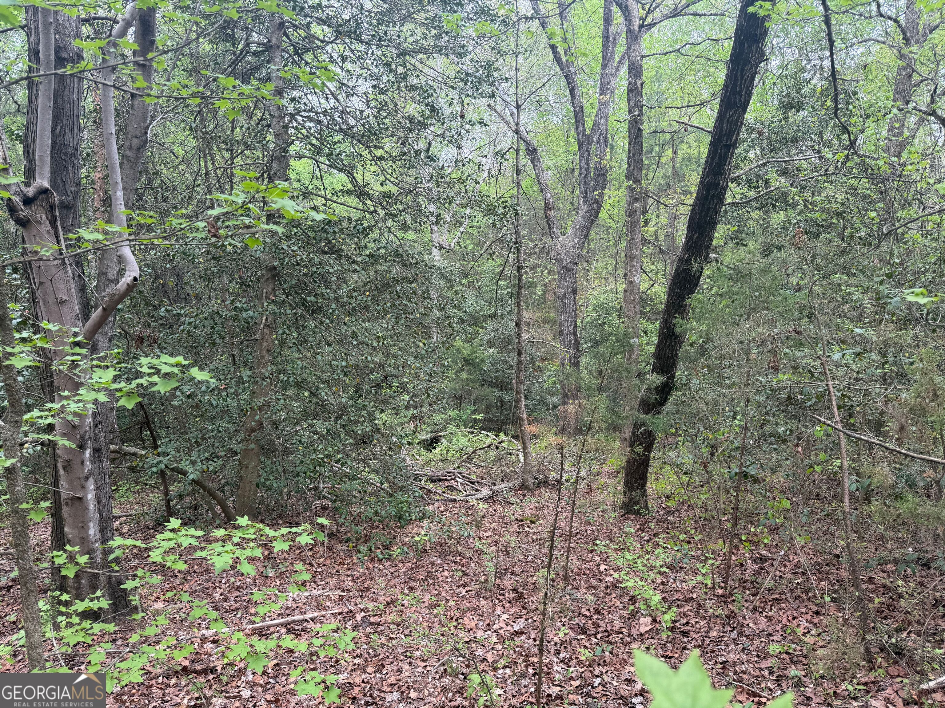 0 N County Line Road