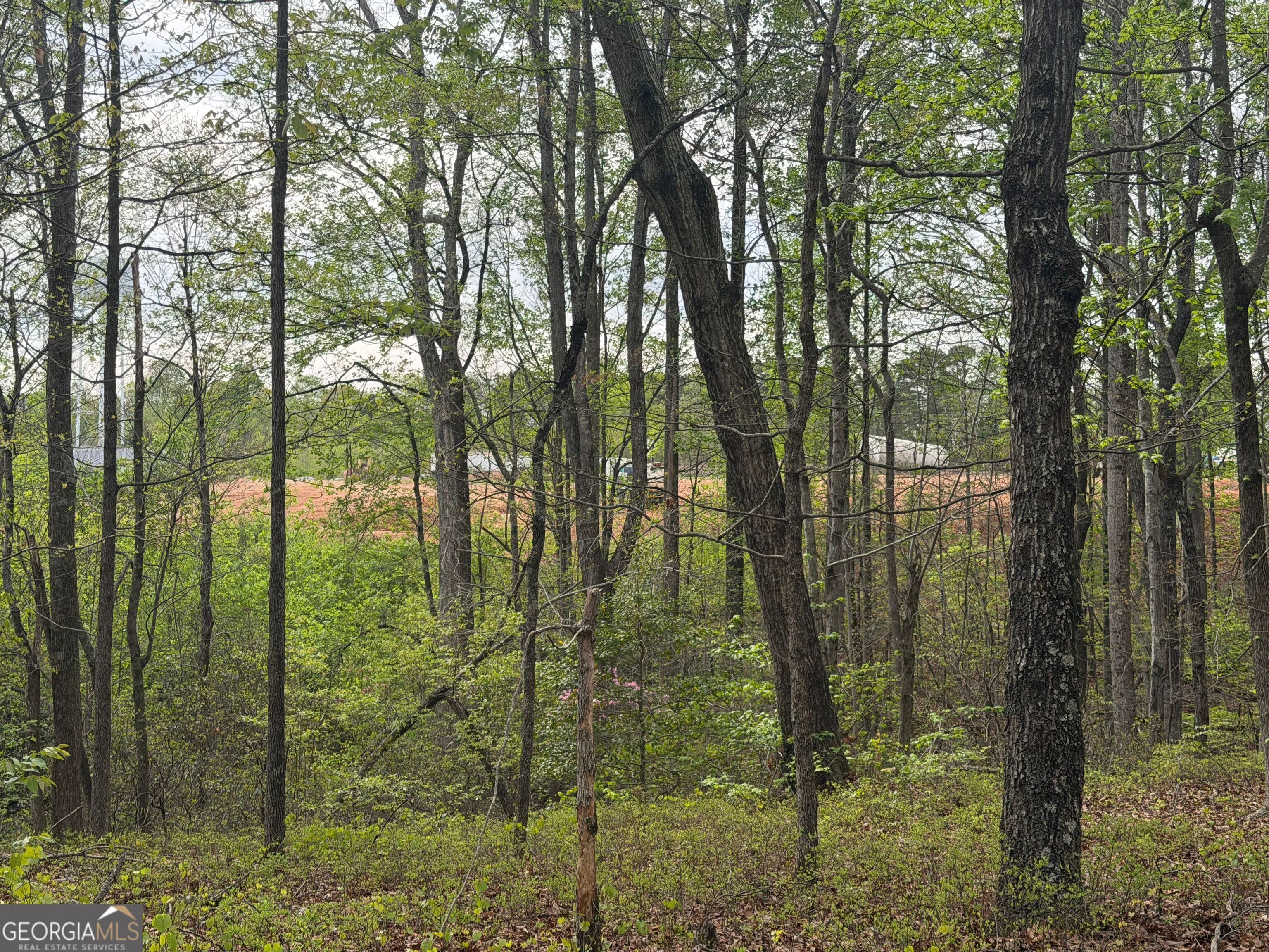 0 N County Line Road