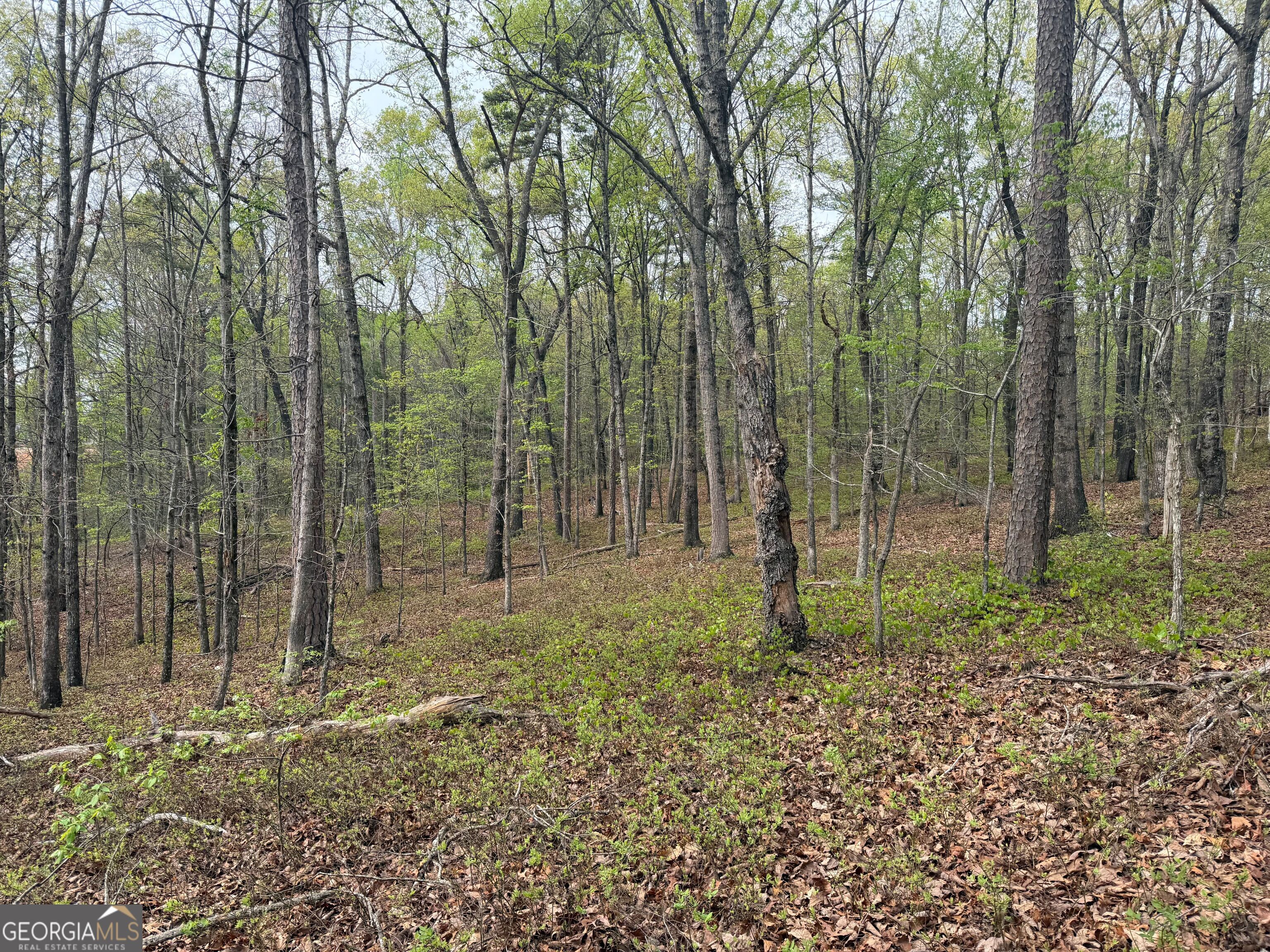 0 N County Line Road
