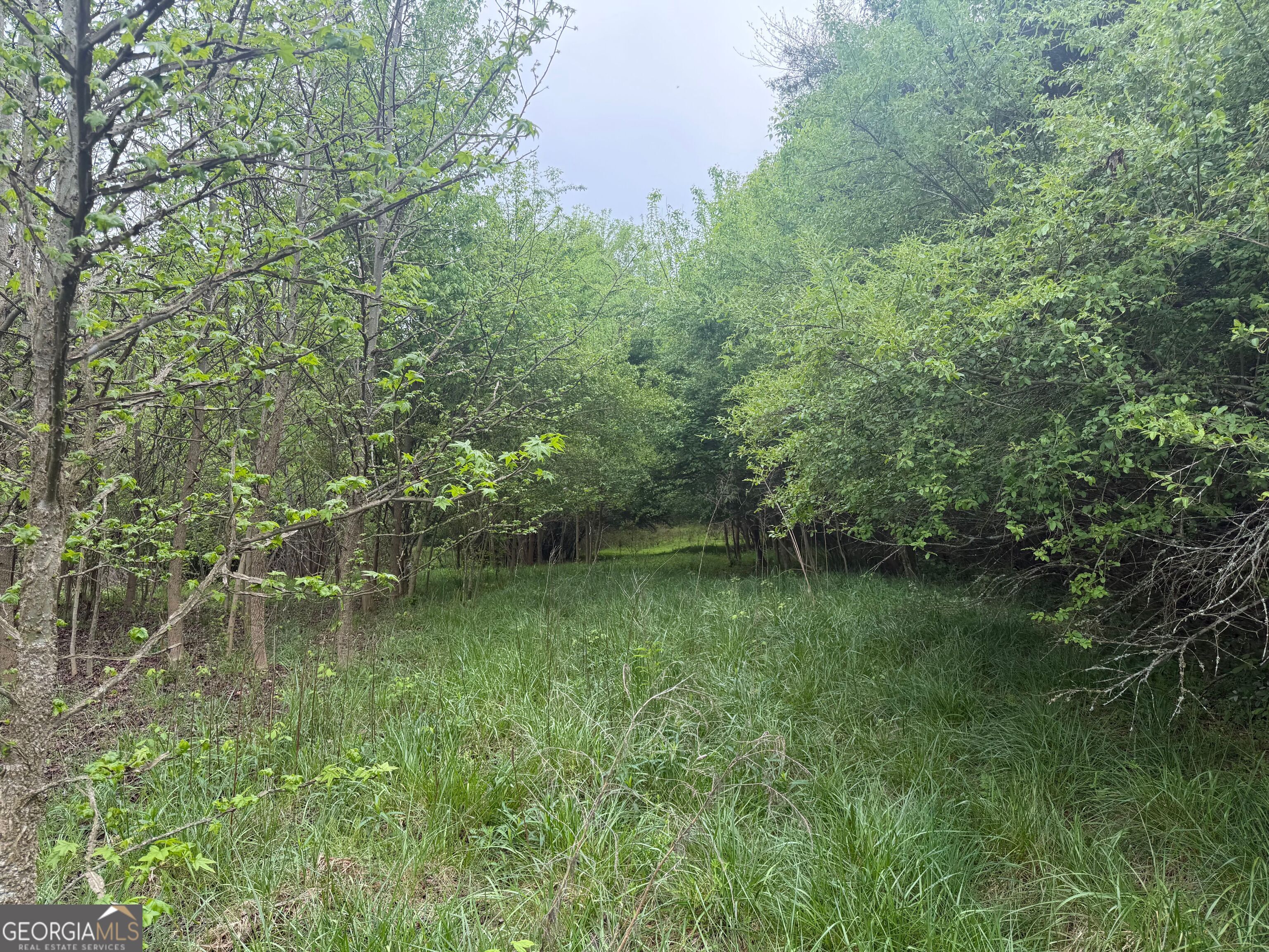 0 N County Line Road
