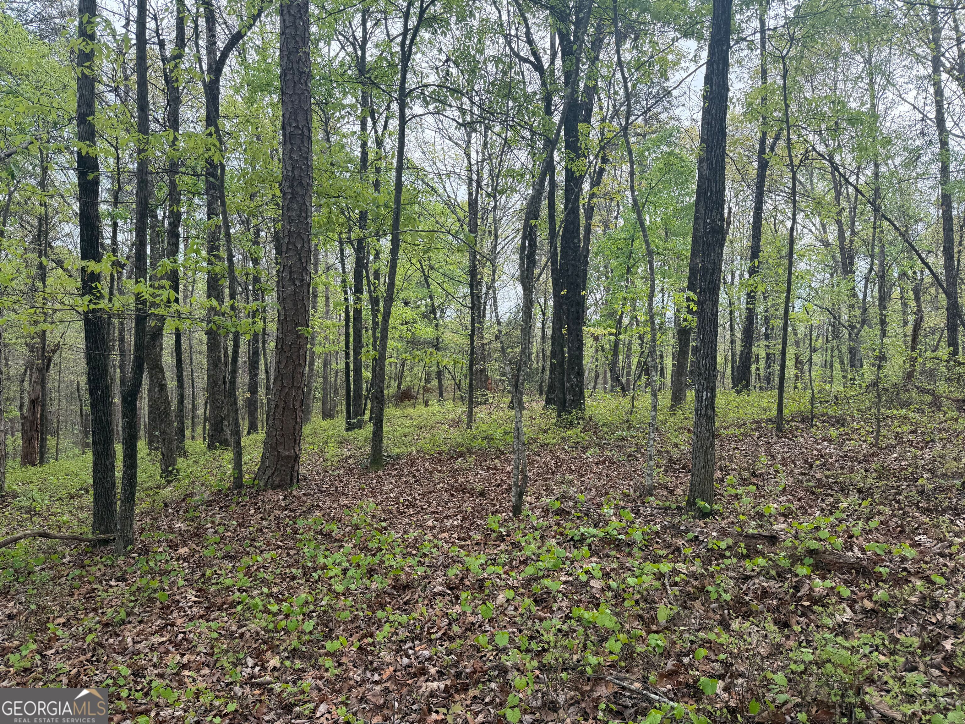 0 N County Line Road