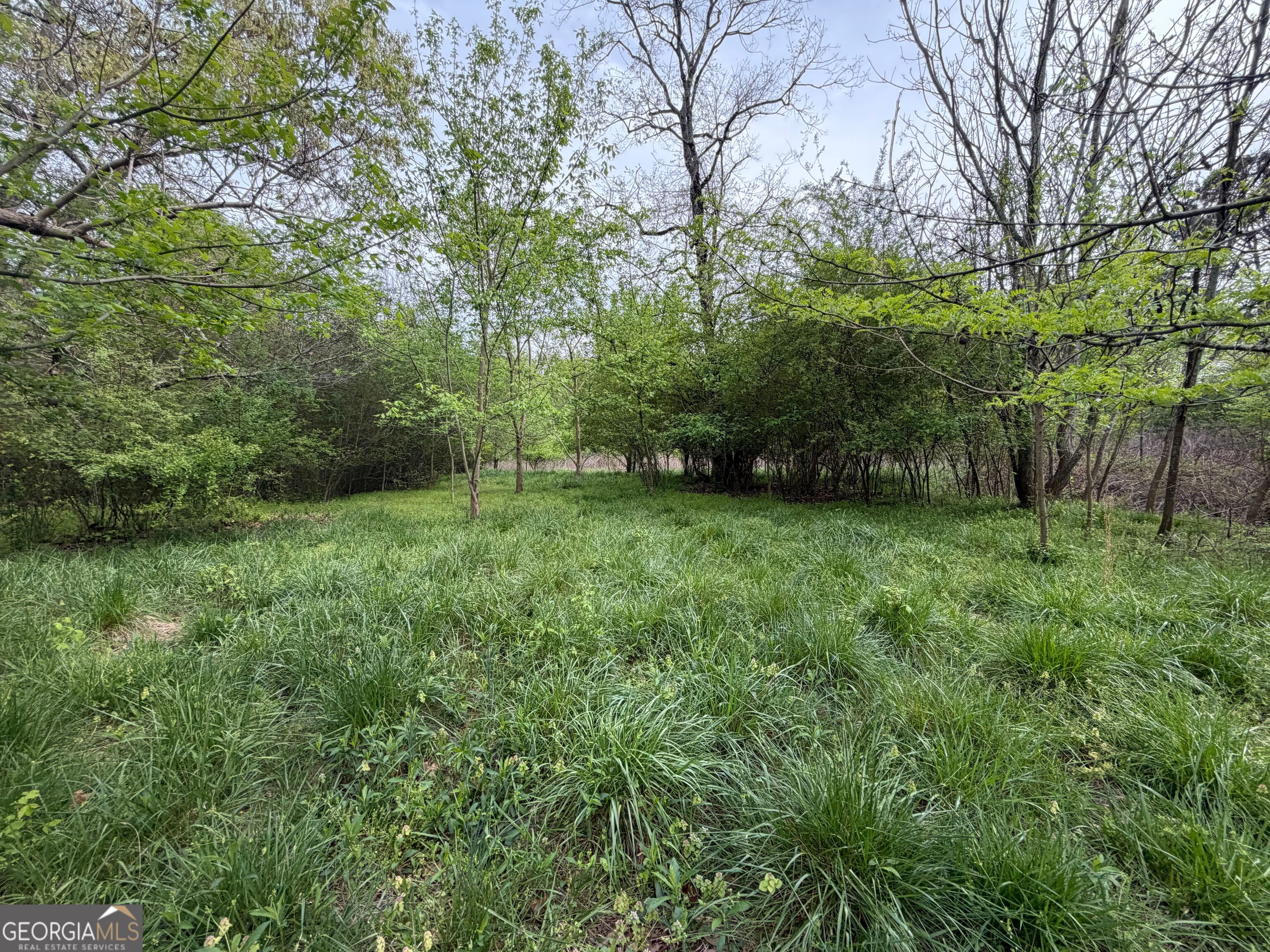 0 N County Line Road