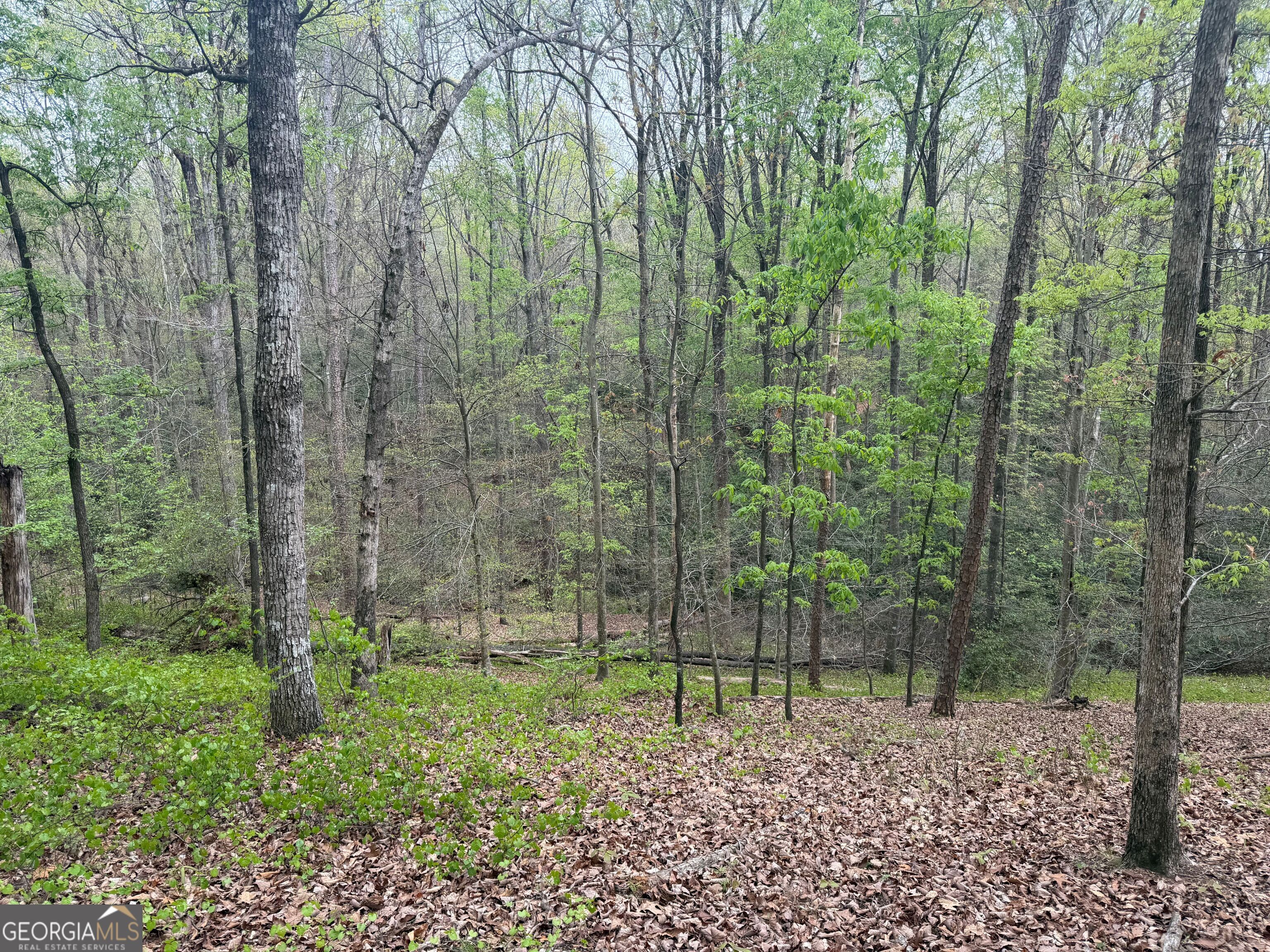 0 N County Line Road