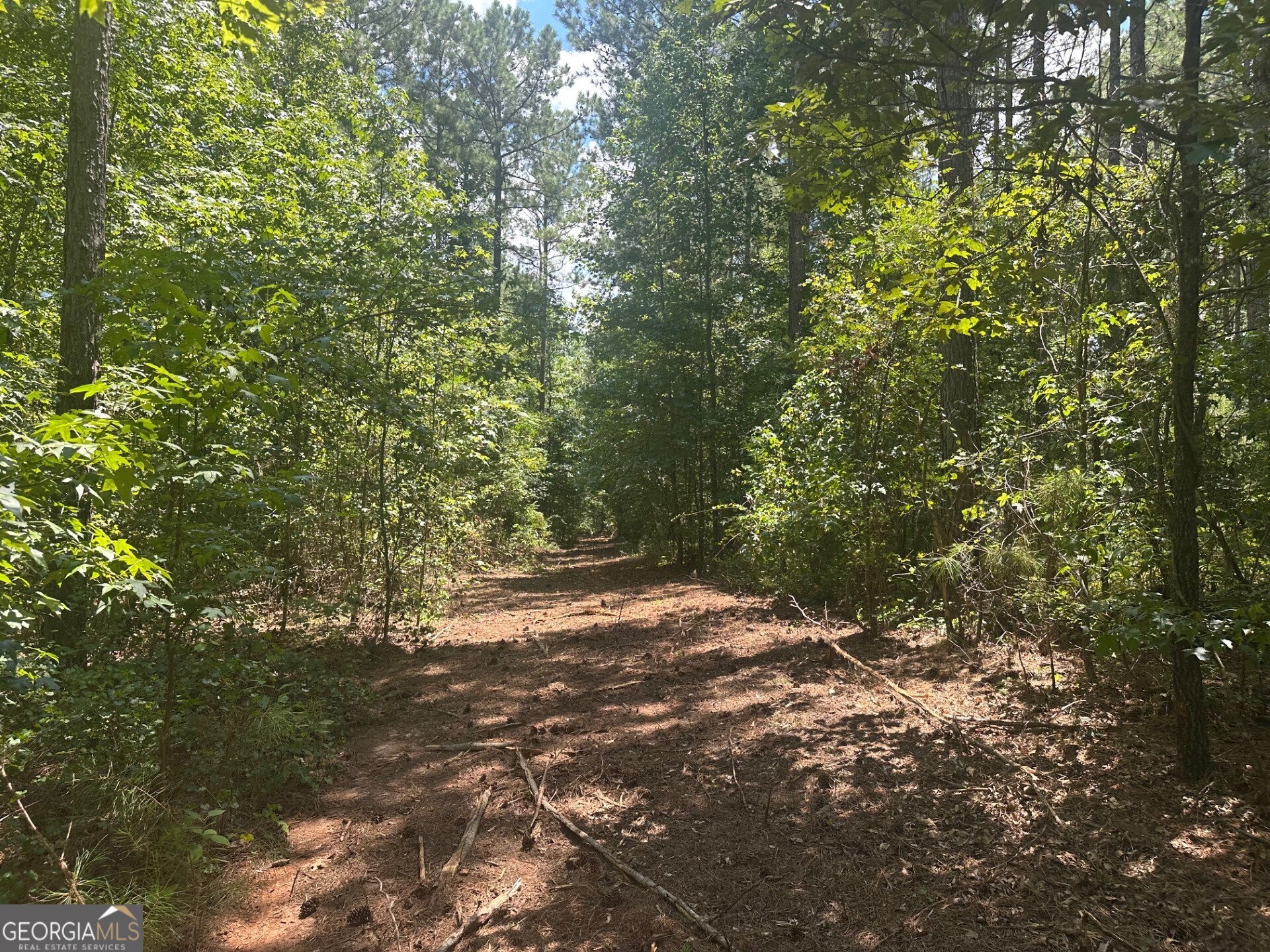 0 Ruckersville Road
