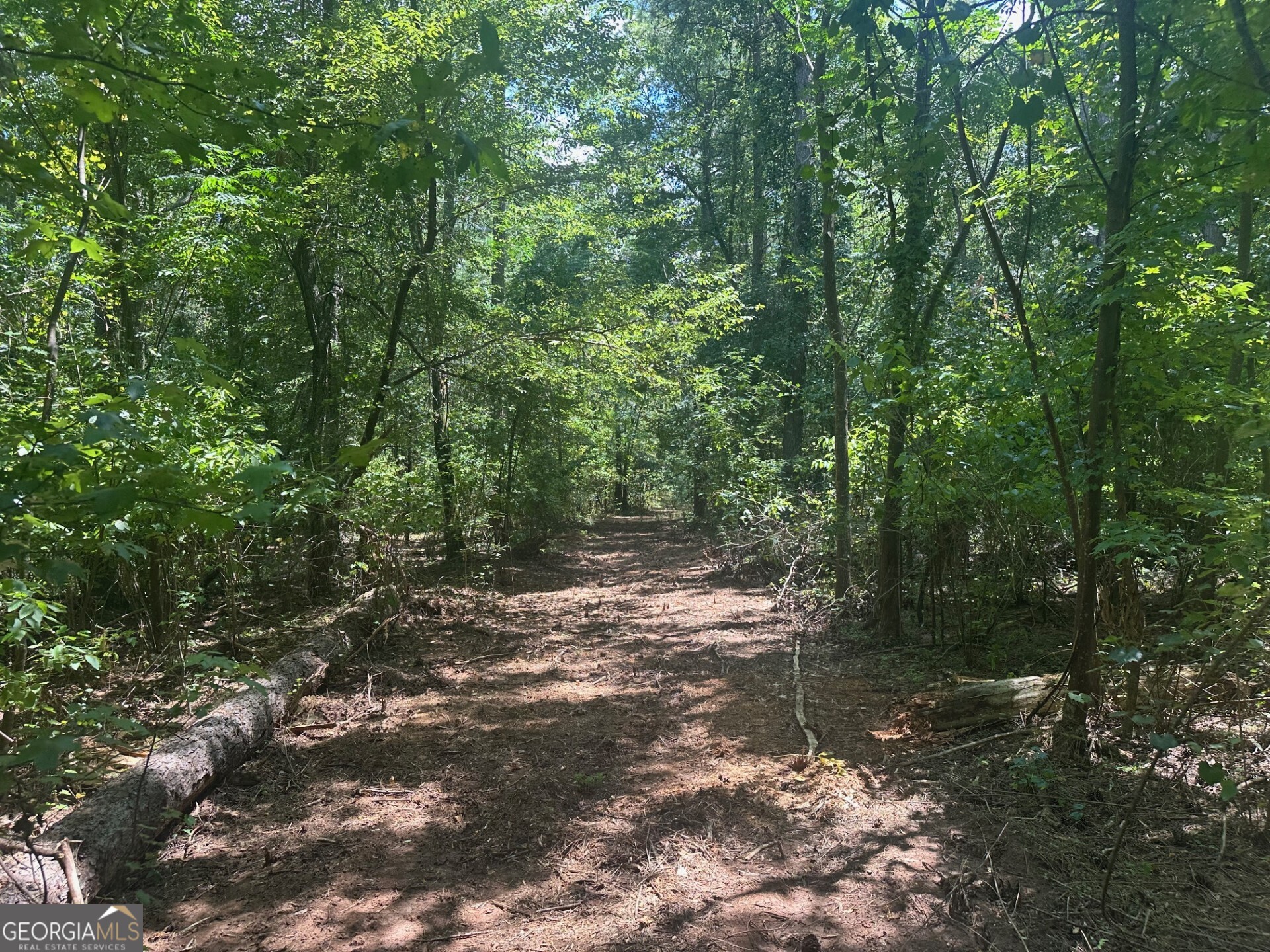 0 Ruckersville Road