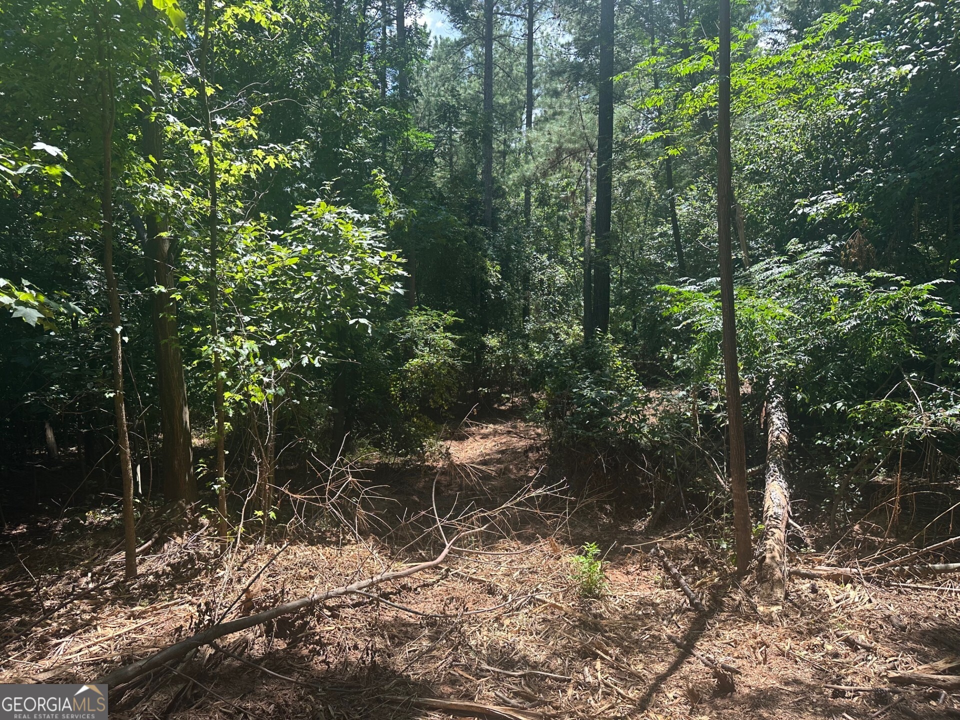 0 Ruckersville Road
