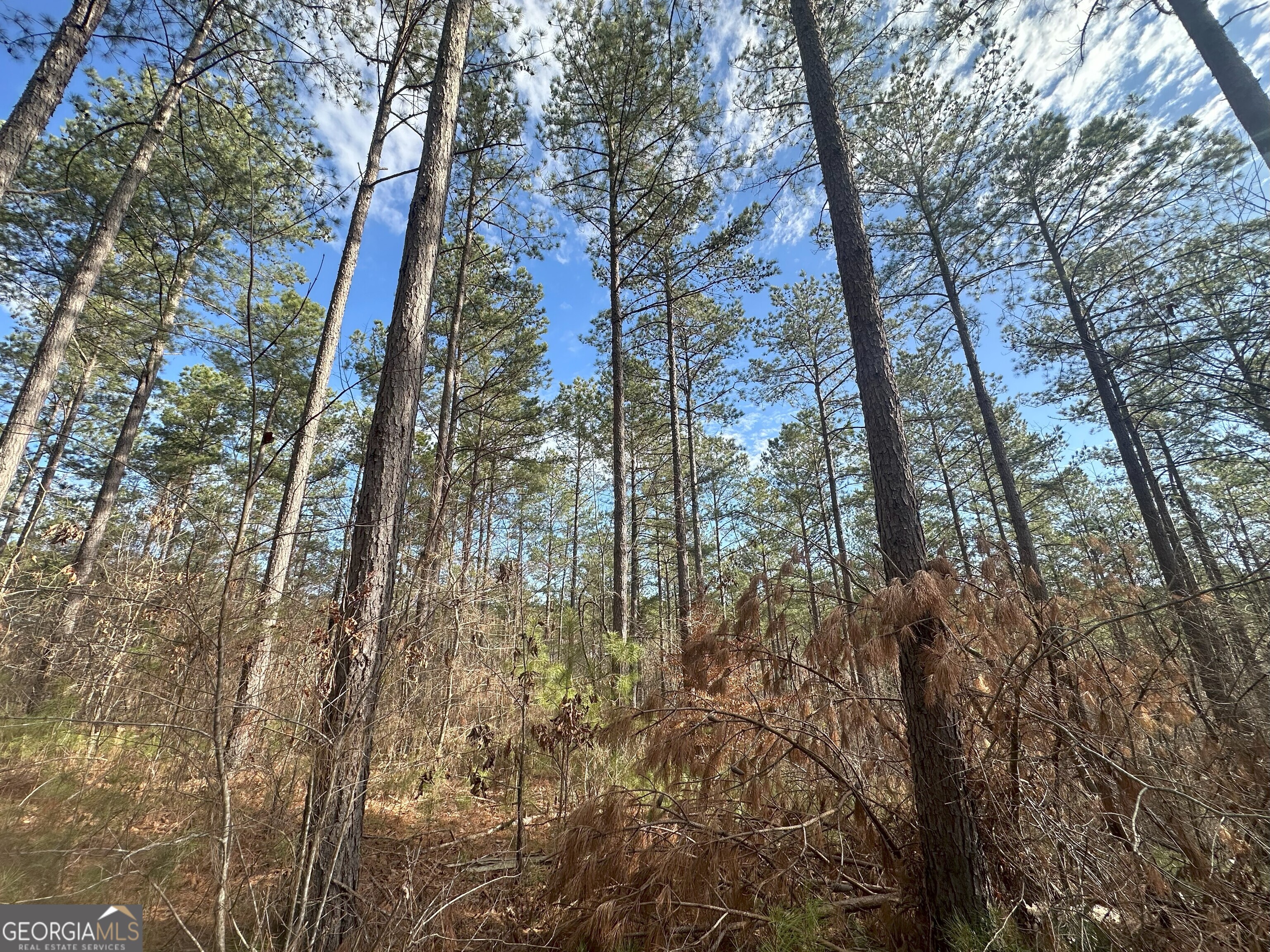 0 Ruckersville Road