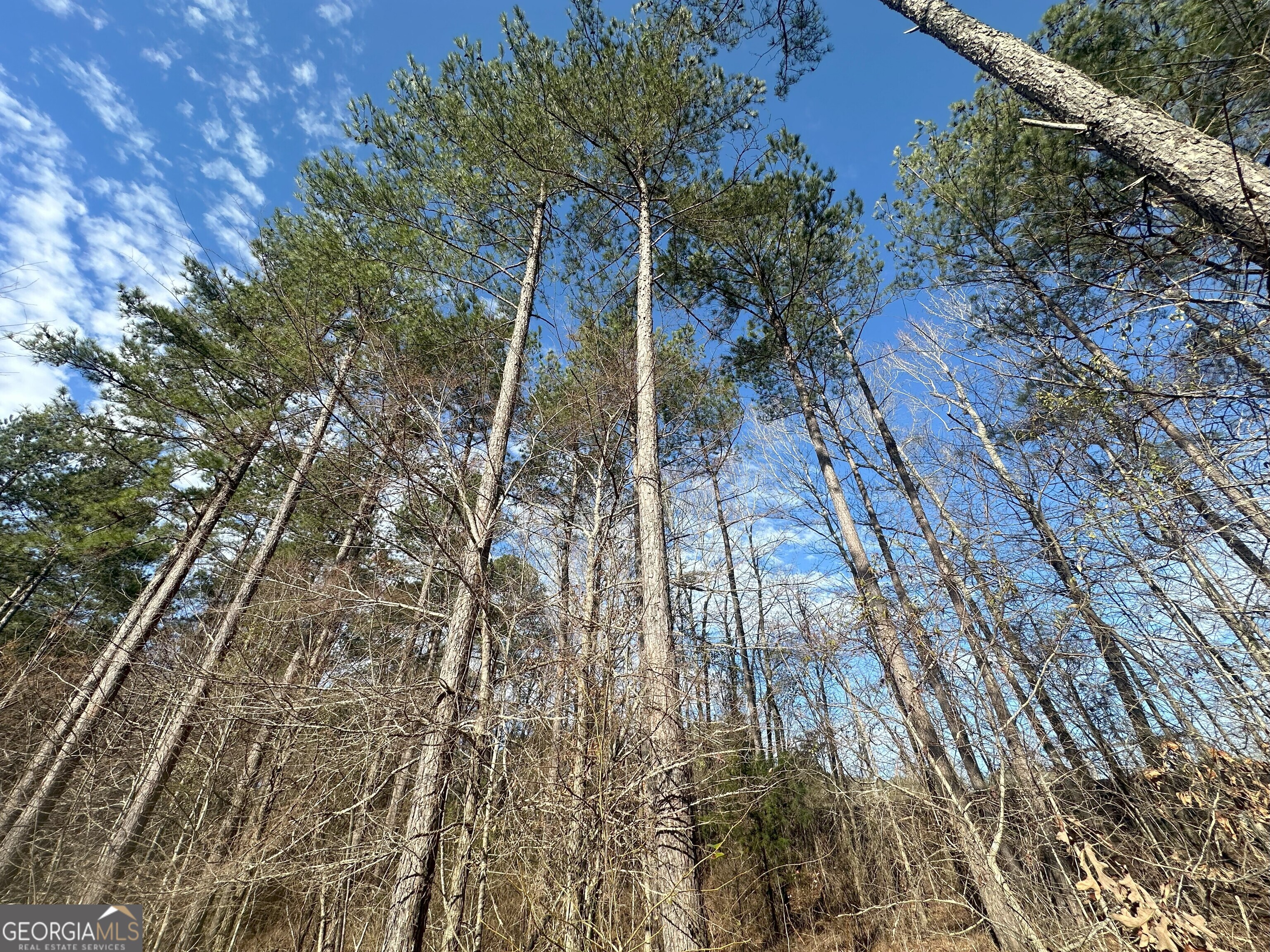 0 Ruckersville Road