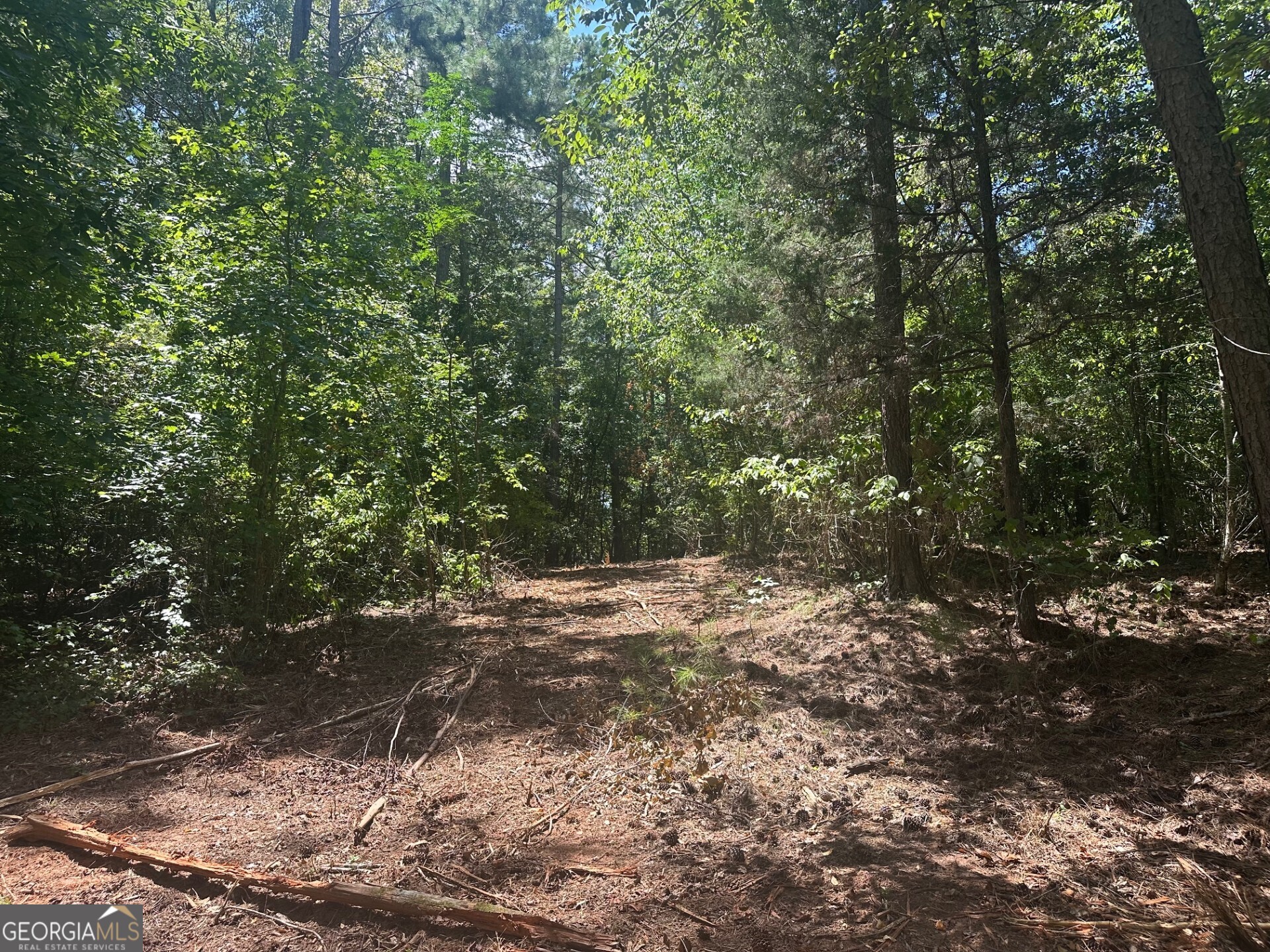 0 Ruckersville Road