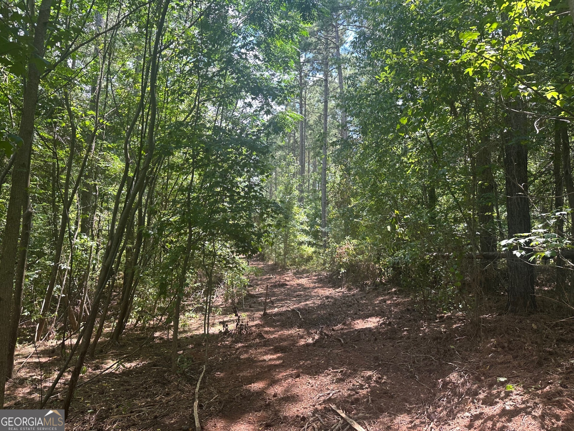0 Ruckersville Road