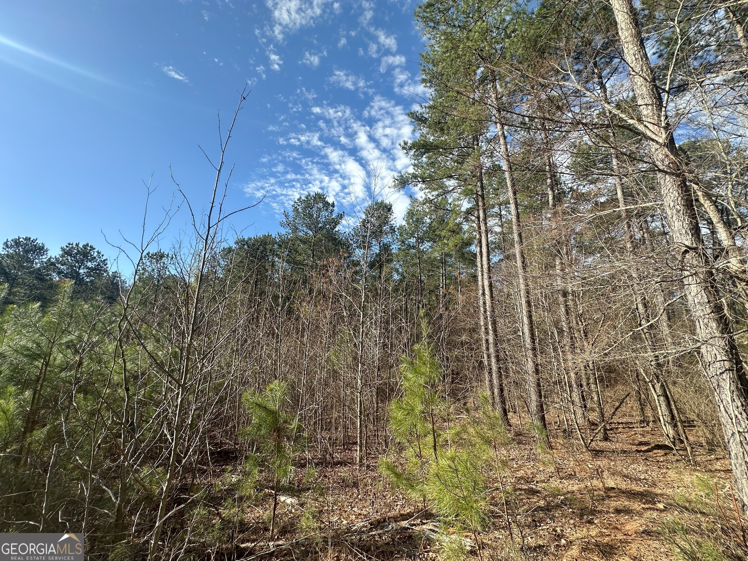 0 Ruckersville Road