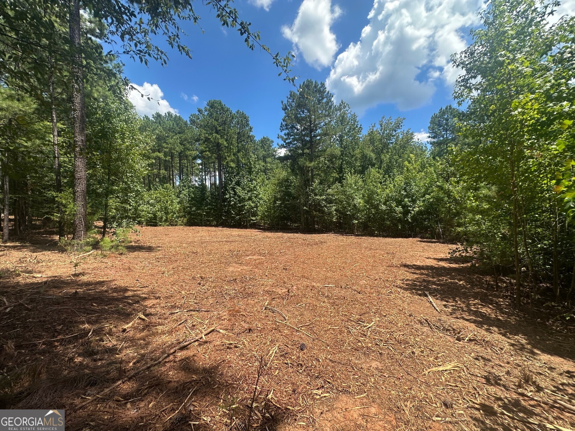 0 Ruckersville Road