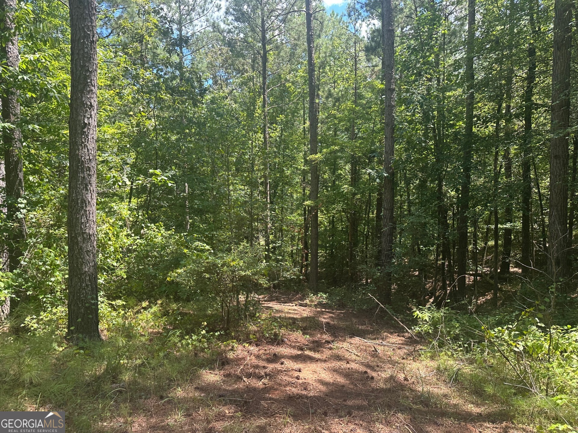 0 Ruckersville Road