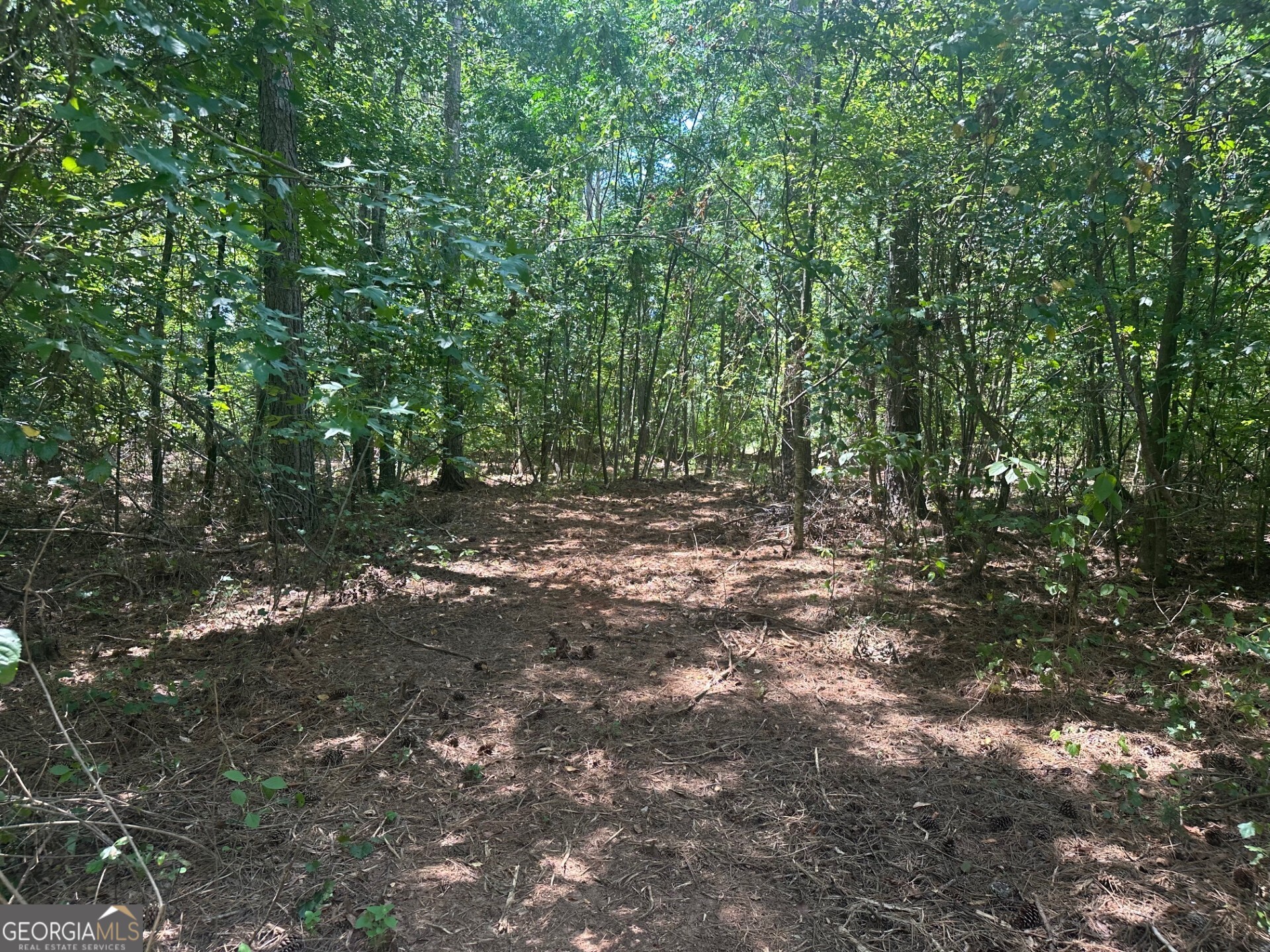 0 Ruckersville Road
