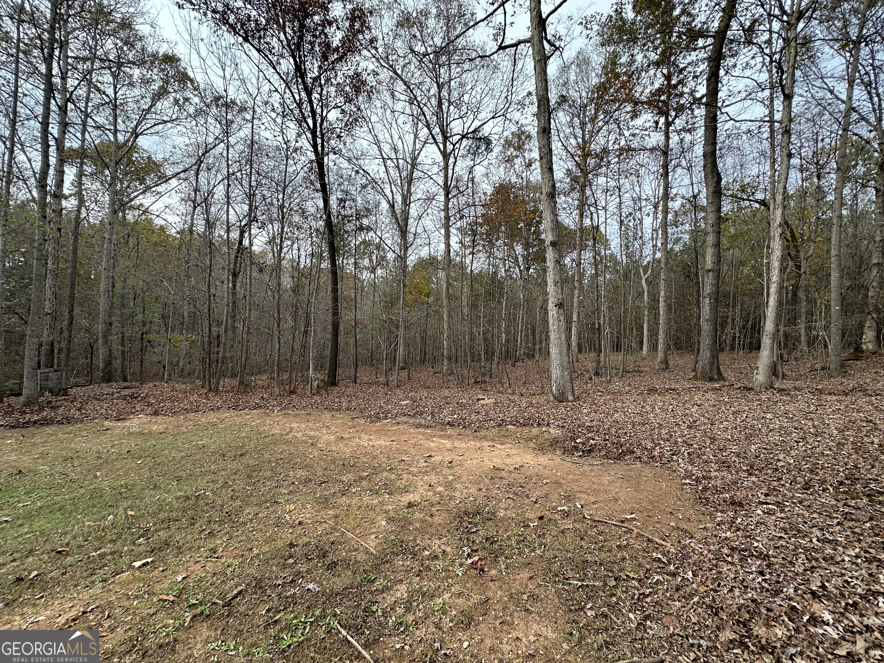 178 Ben Burton Circle