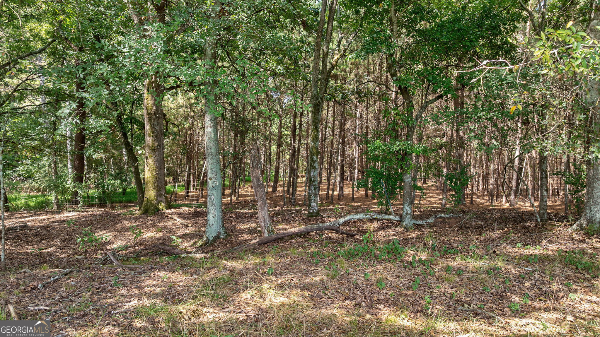1160 Middlebrooks Road