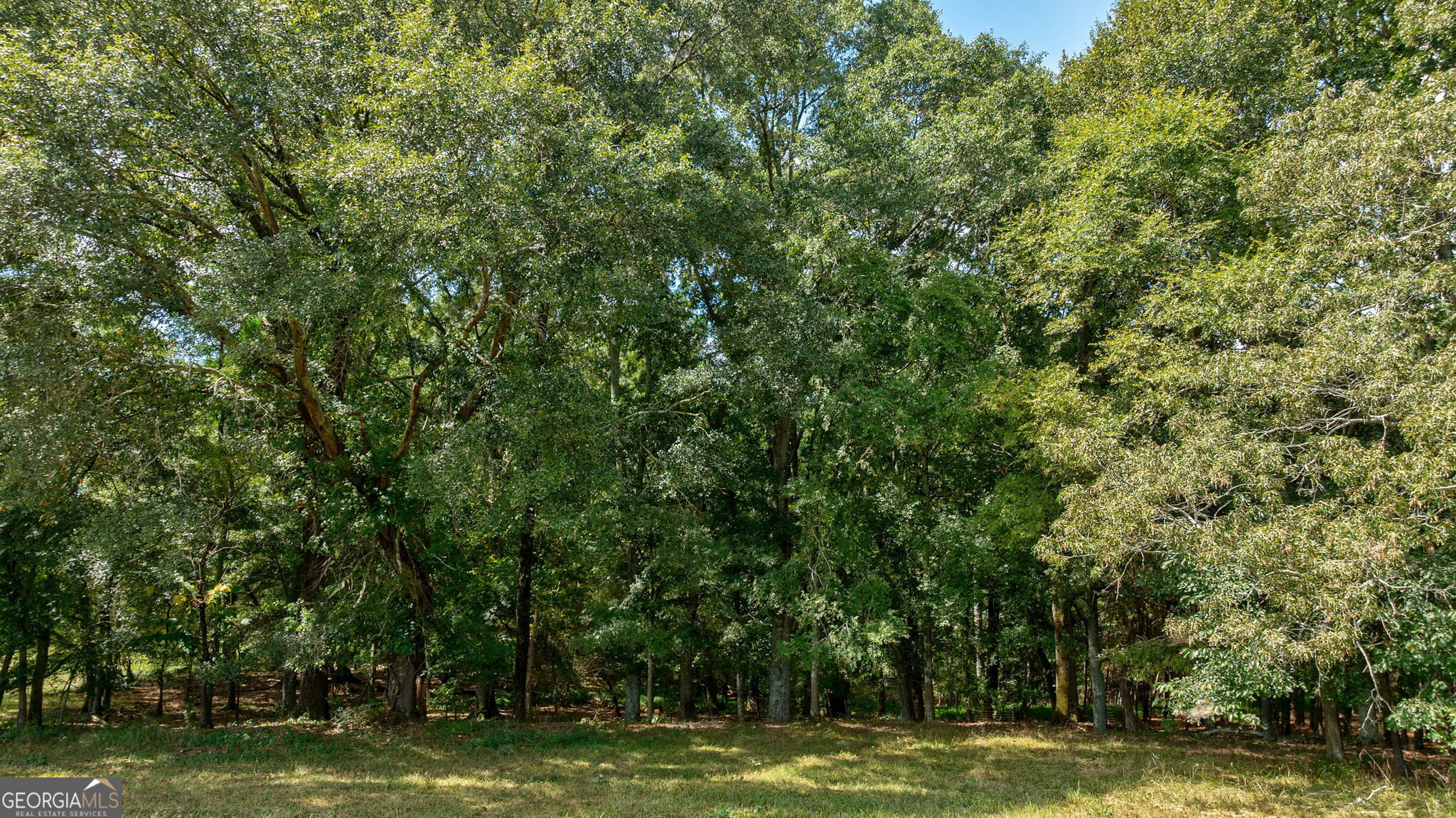 1160 Middlebrooks Road