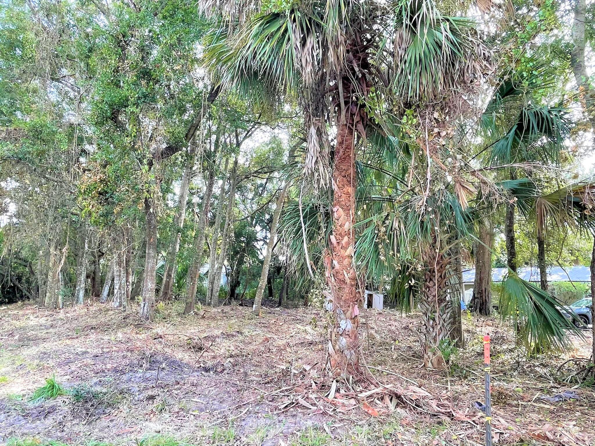 1502 Jungle Road