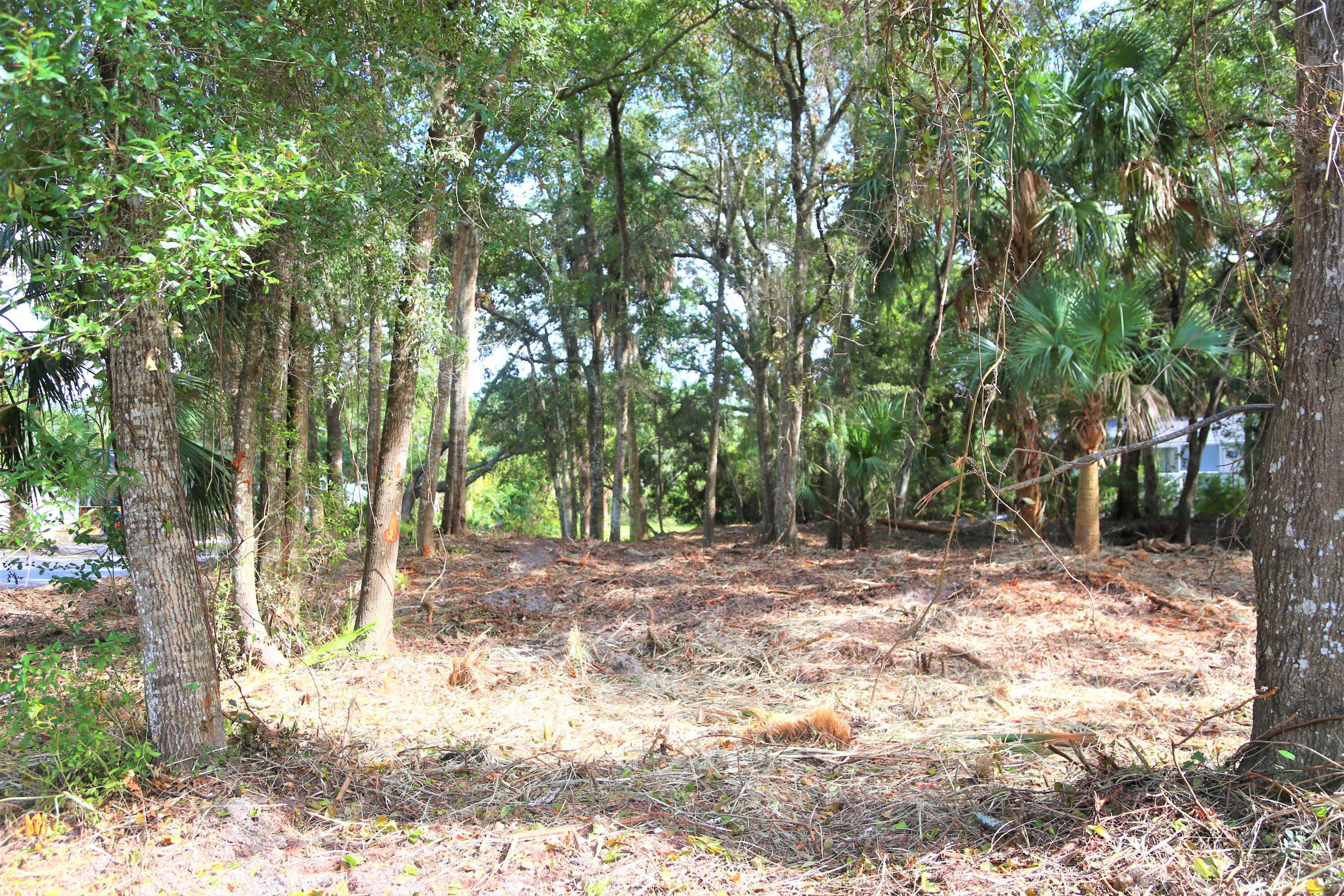1502 Jungle Road