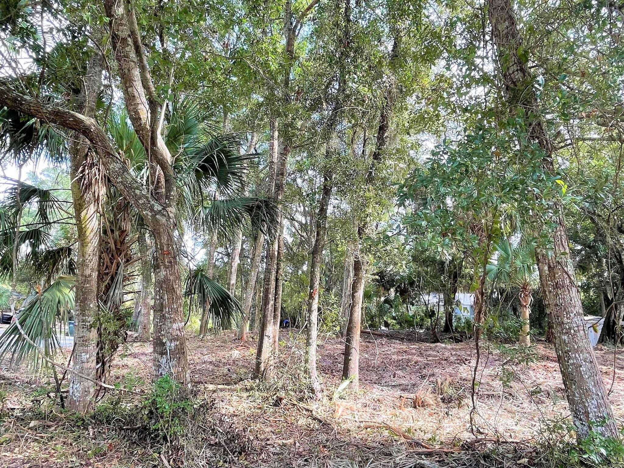 1502 Jungle Road