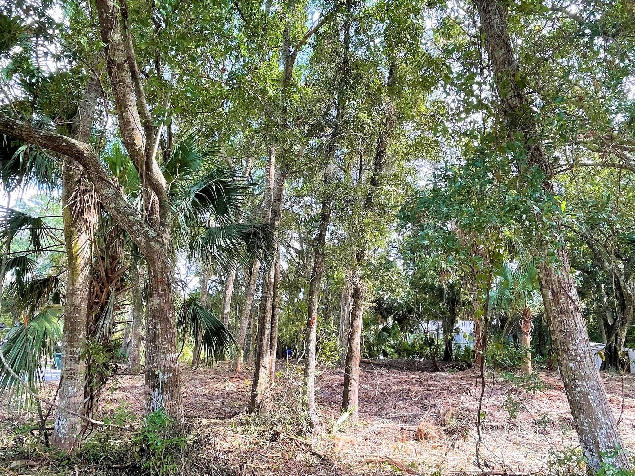 1502 Jungle Road