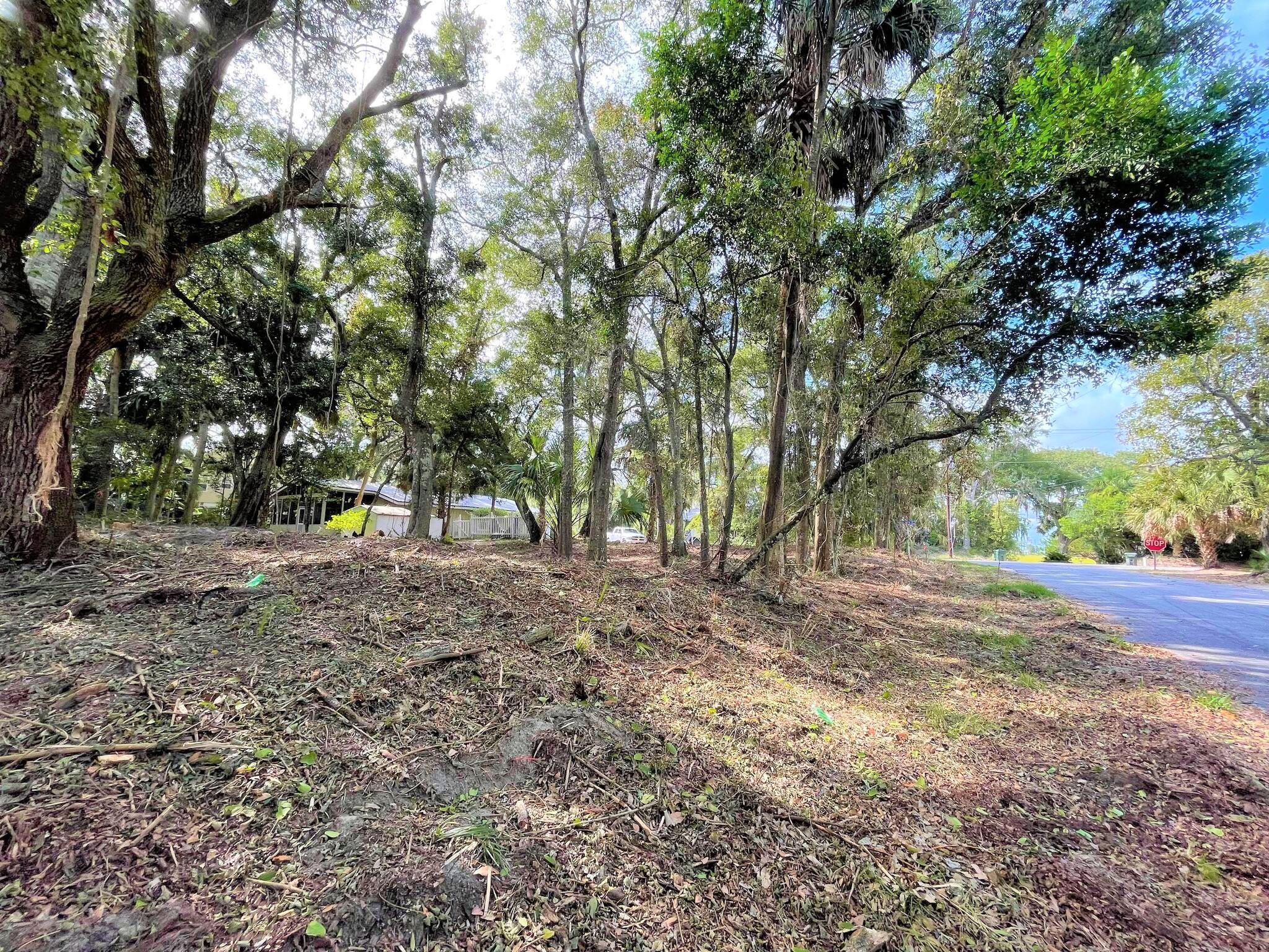 1502 Jungle Road