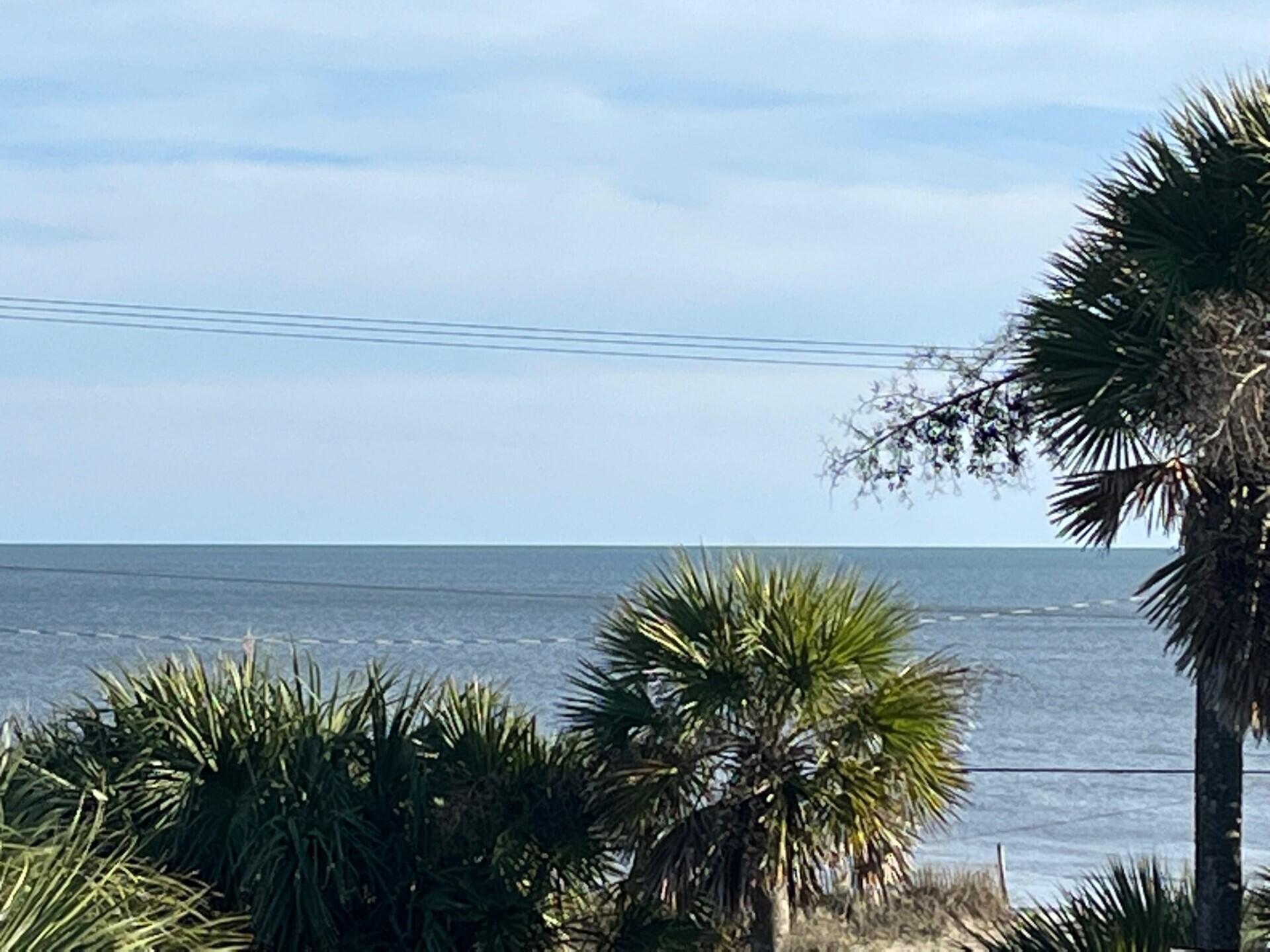 126 Jungle Road # A Unit: 6 A