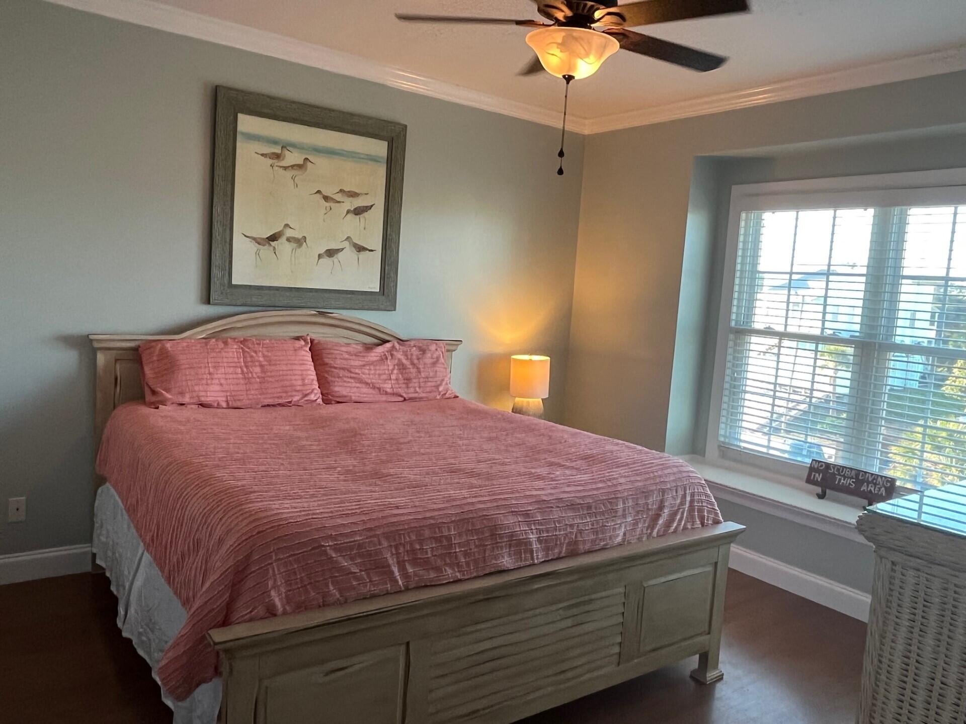 126 Jungle Road # A Unit: 6 A