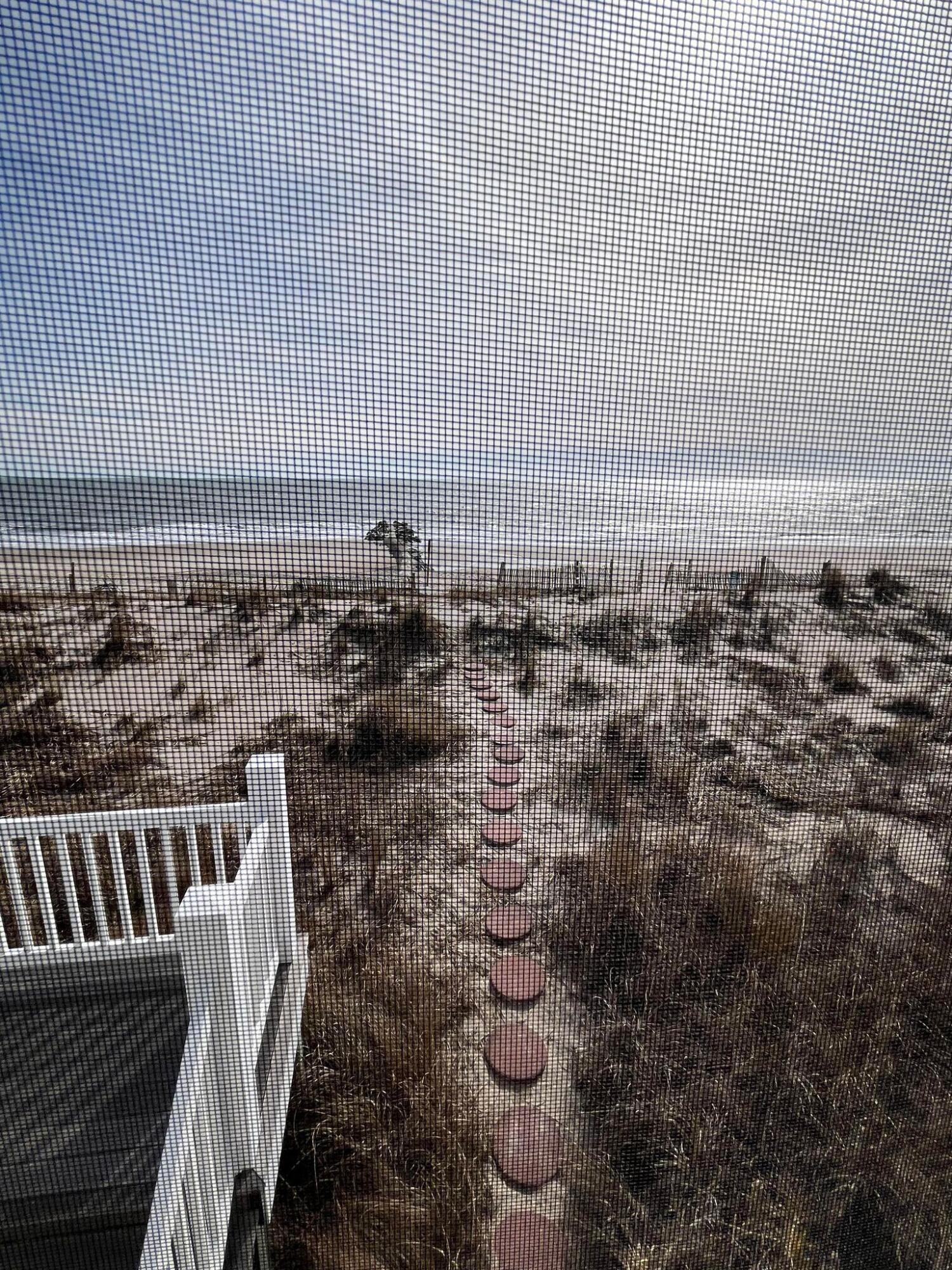 608 Palmetto Boulevard