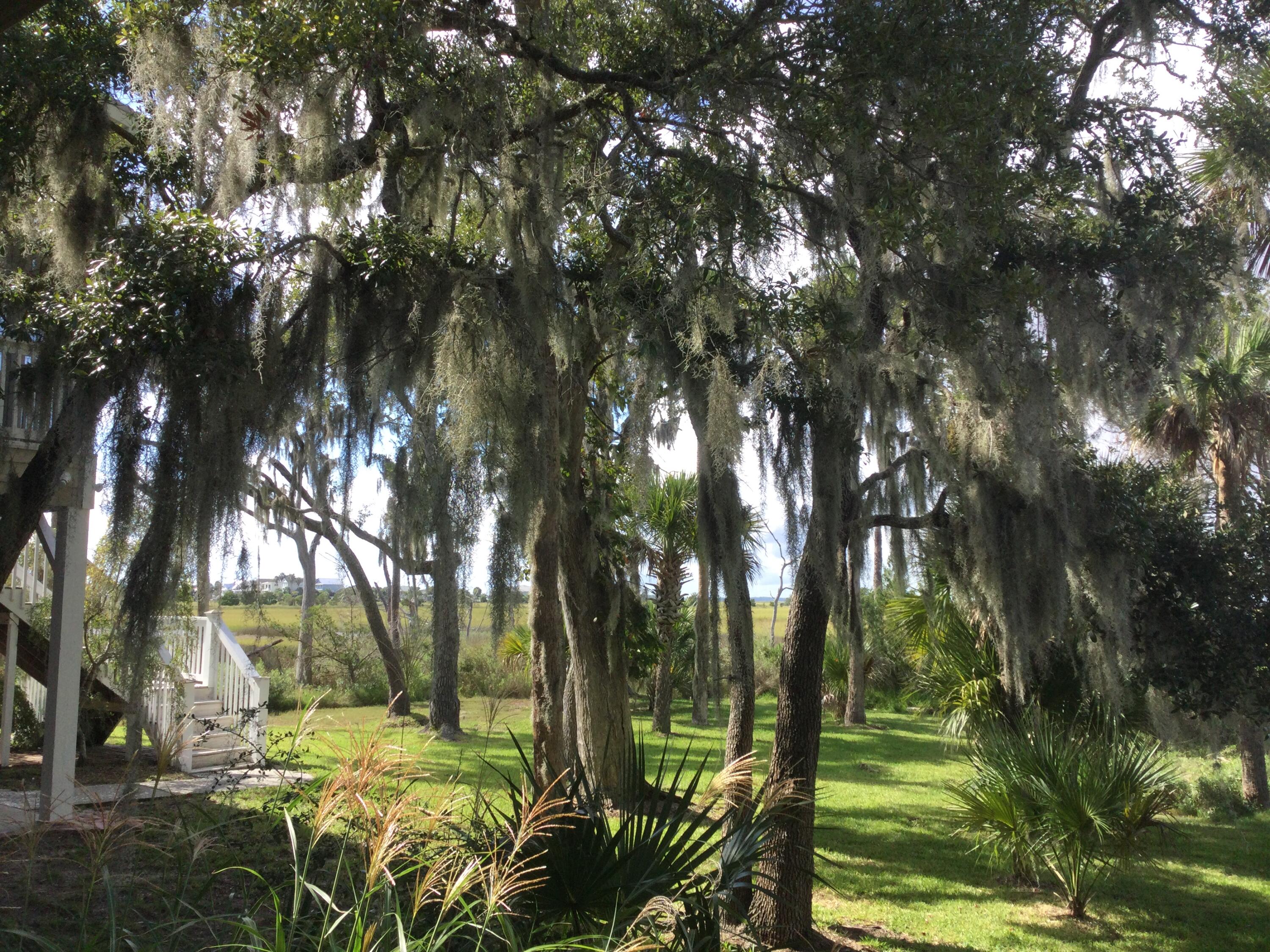 1001 Jungle Shores Drive Unit: 1/4  Share Interval