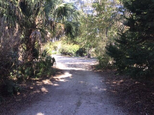 1001 Jungle Shores Drive Unit: 1/4  Share Interval