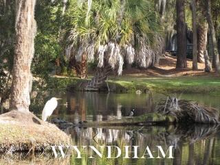 232 Driftwood Lane