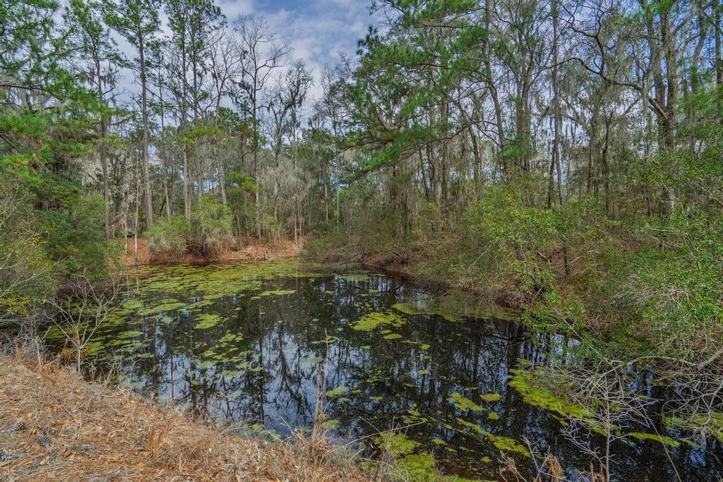 8262 Fairview Nursery Road