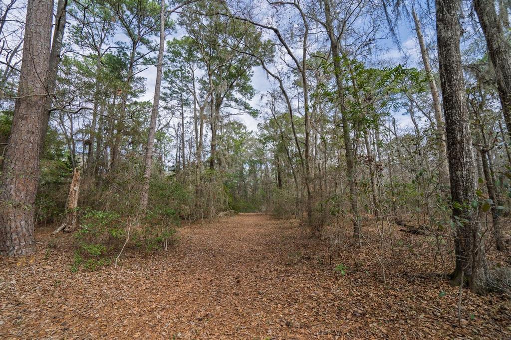 8262 Fairview Nursery Road