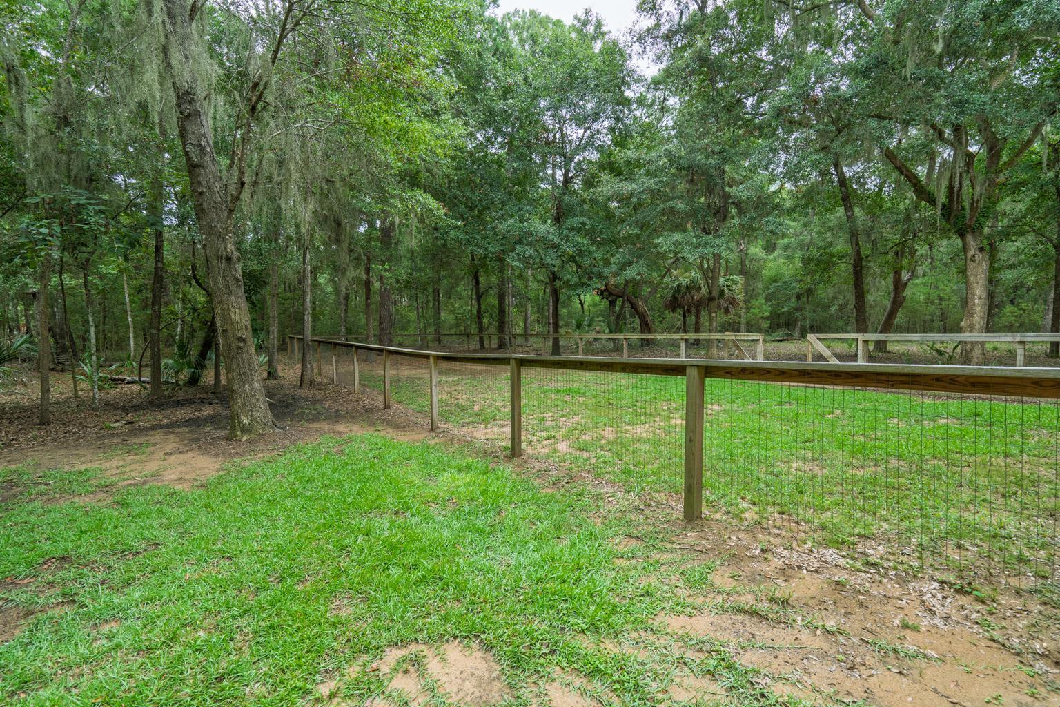 520 Palmetto Pointe Road