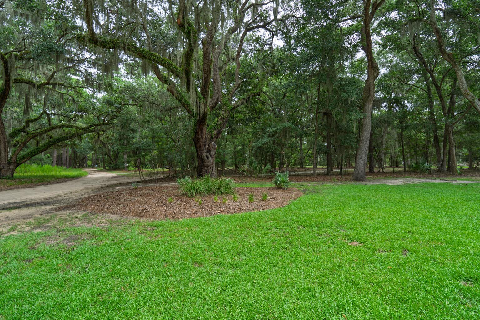 520 Palmetto Pointe Road