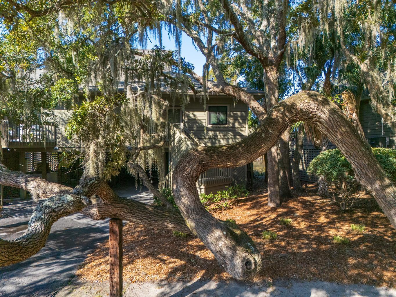 796 Summerwind Circle
