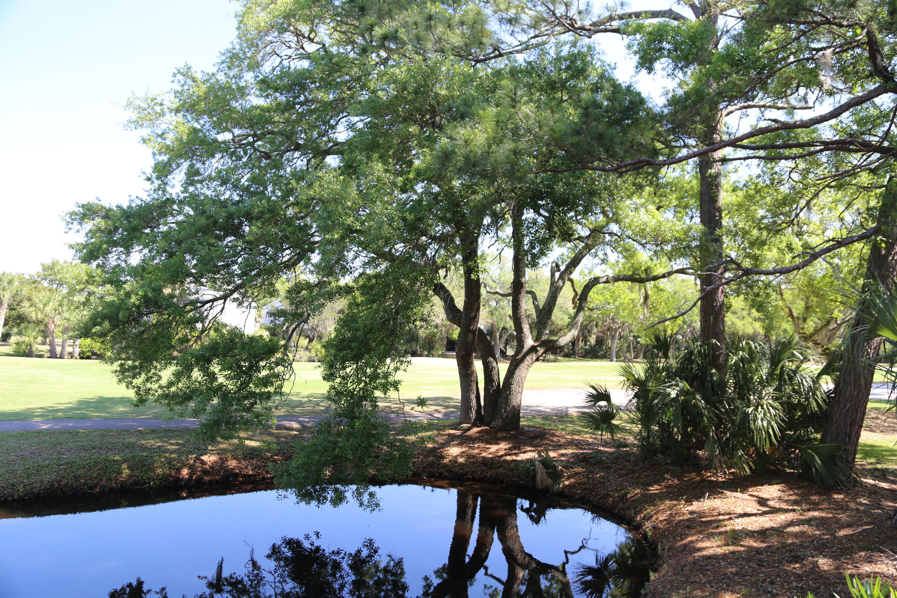 248 Driftwood Lane