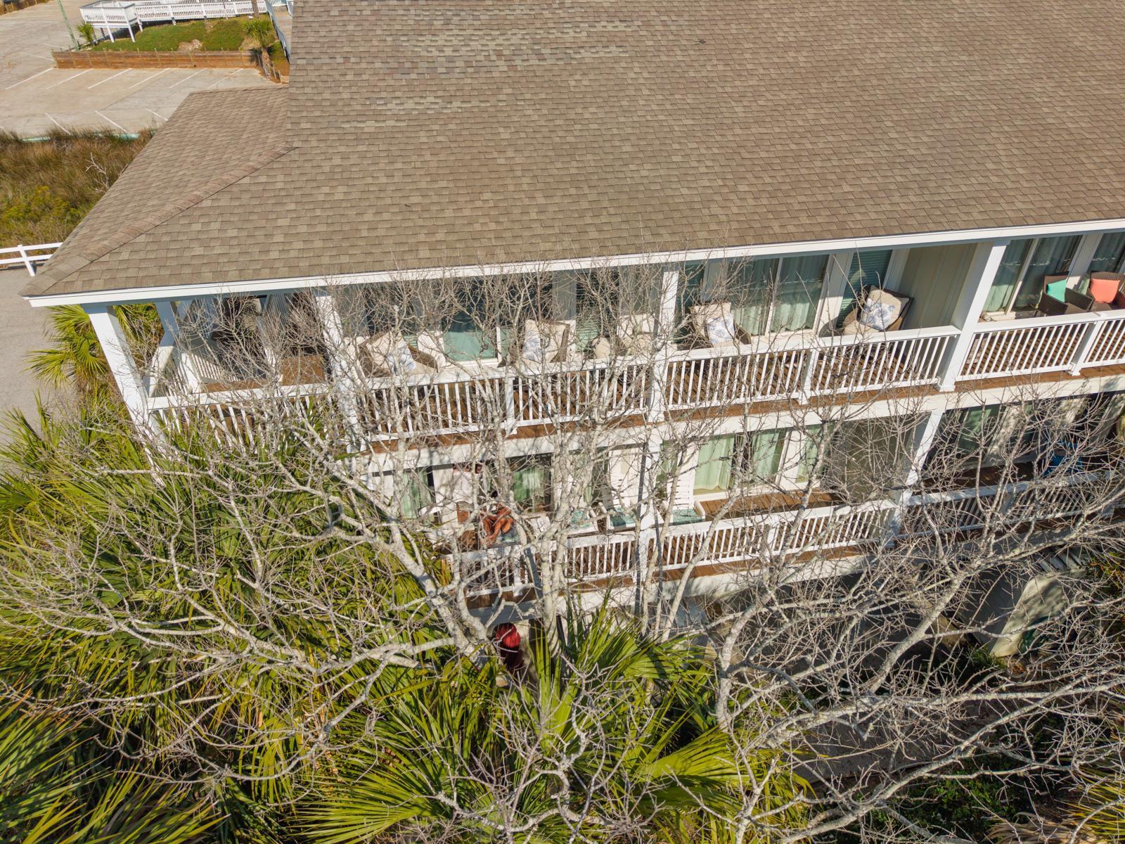 126 Jungle Road # 7b