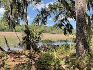 8119 S Loafer Glory Lane